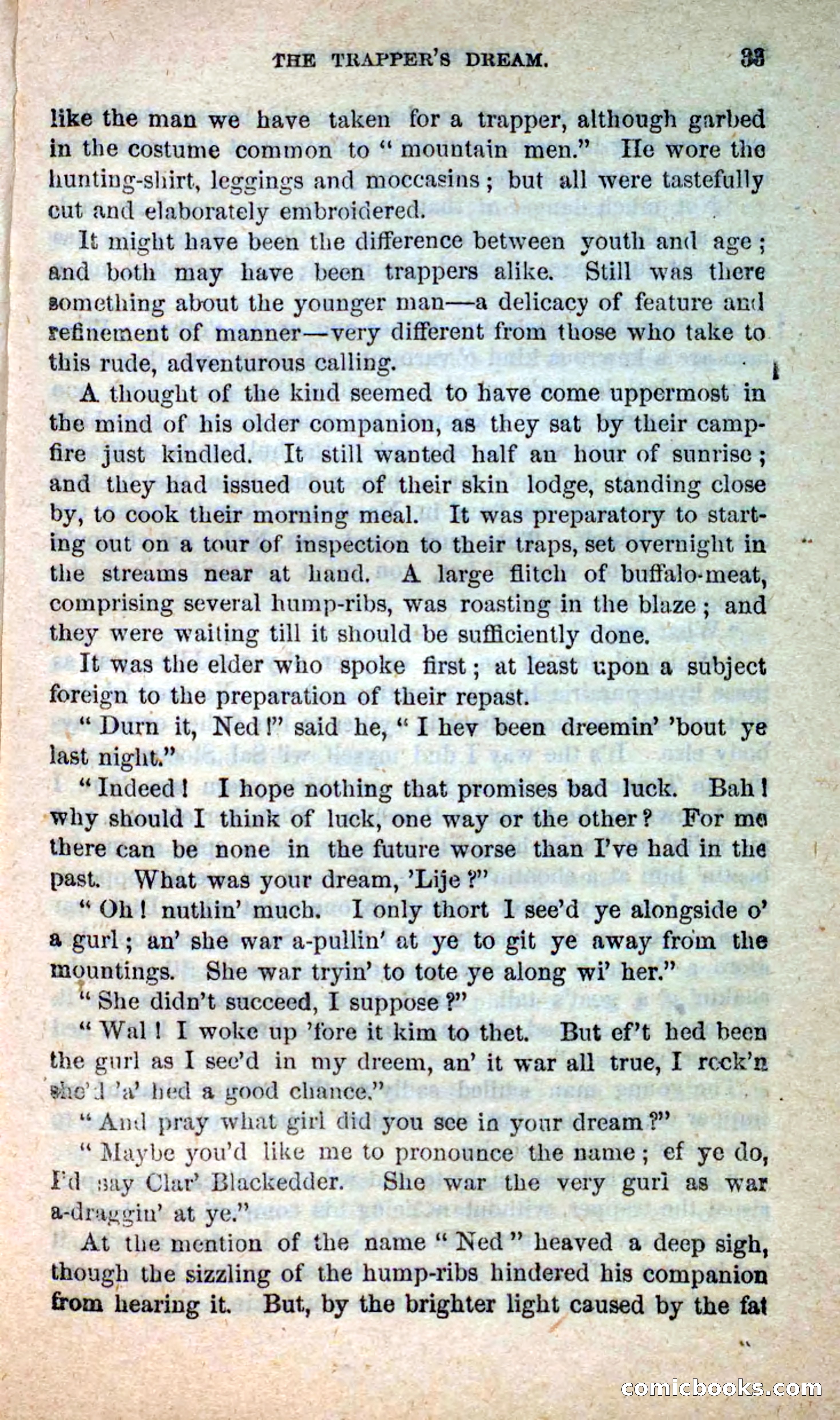 Beadle's New Dime Novels: Blue Dick — page 29 of 100