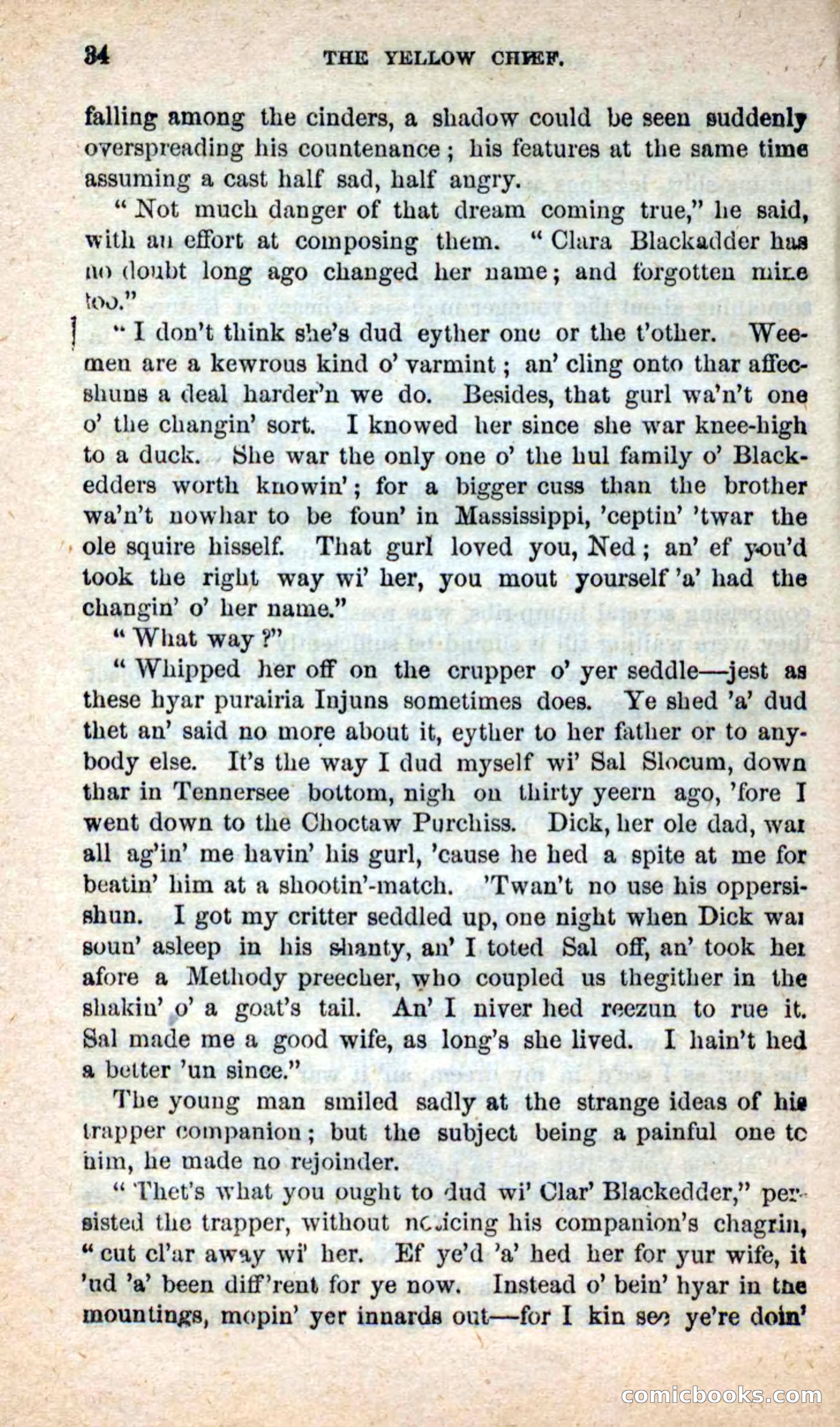 Beadle's New Dime Novels: Blue Dick — page 30 of 100