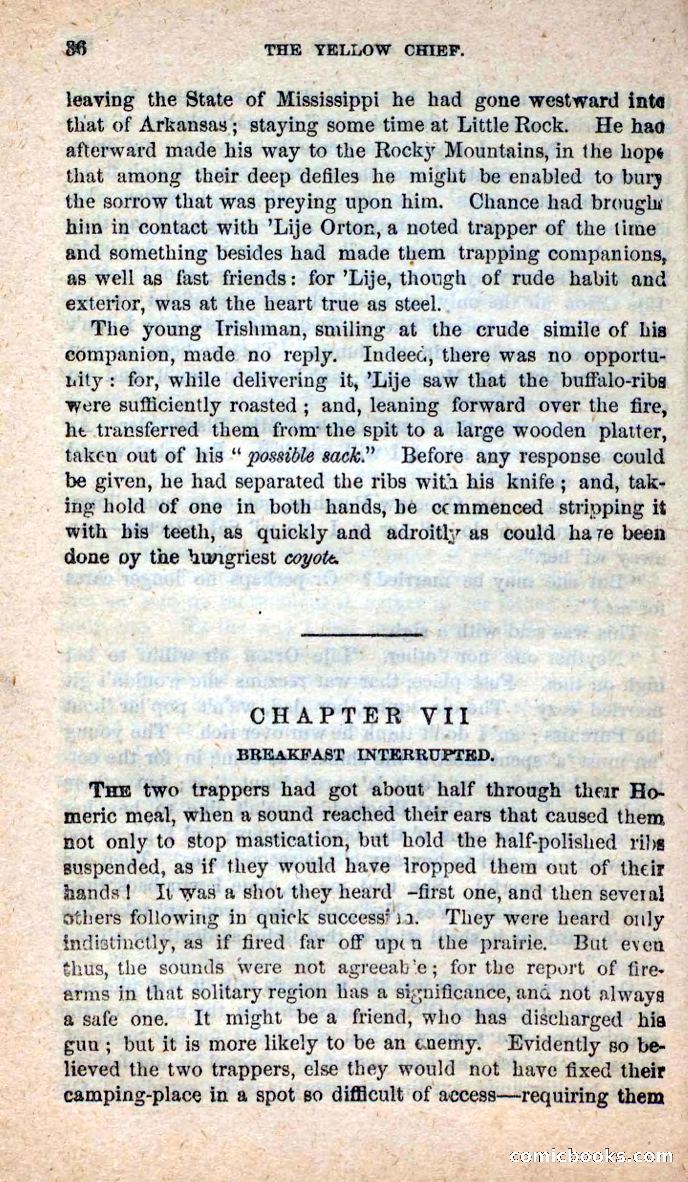 Beadle's New Dime Novels: Blue Dick — page 32 of 100