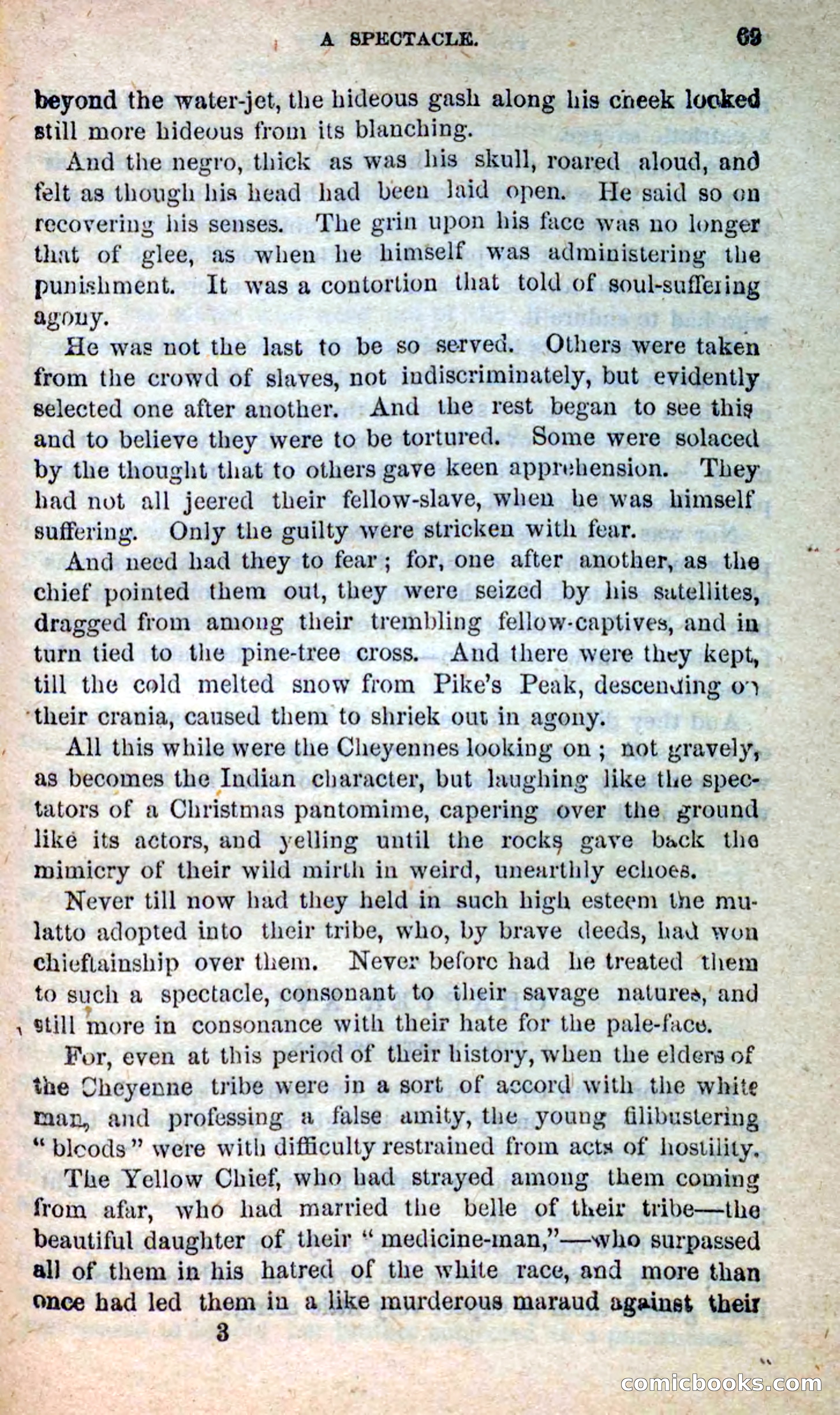 Beadle's New Dime Novels: Blue Dick — page 65 of 100