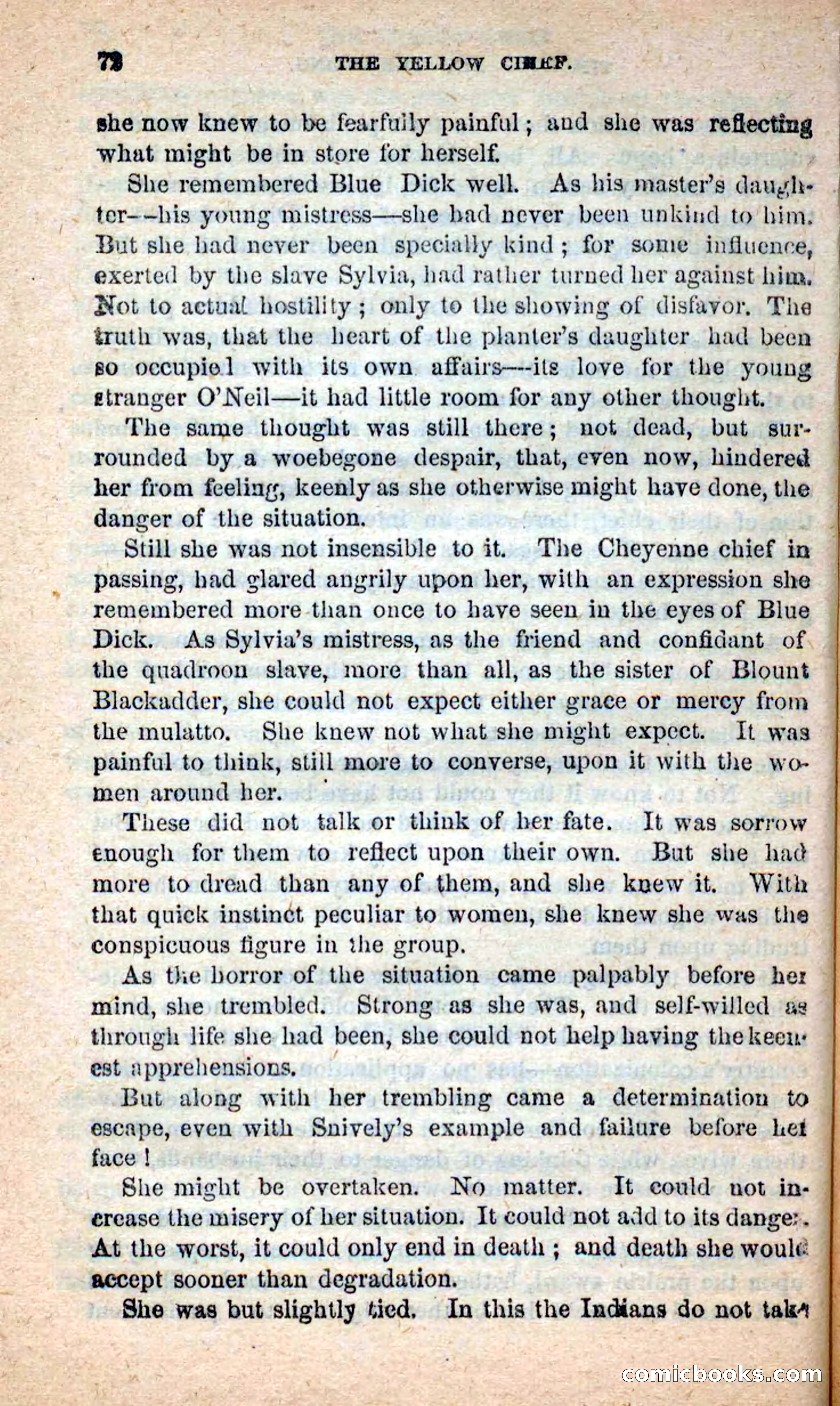 Beadle's New Dime Novels: Blue Dick — page 68 of 100