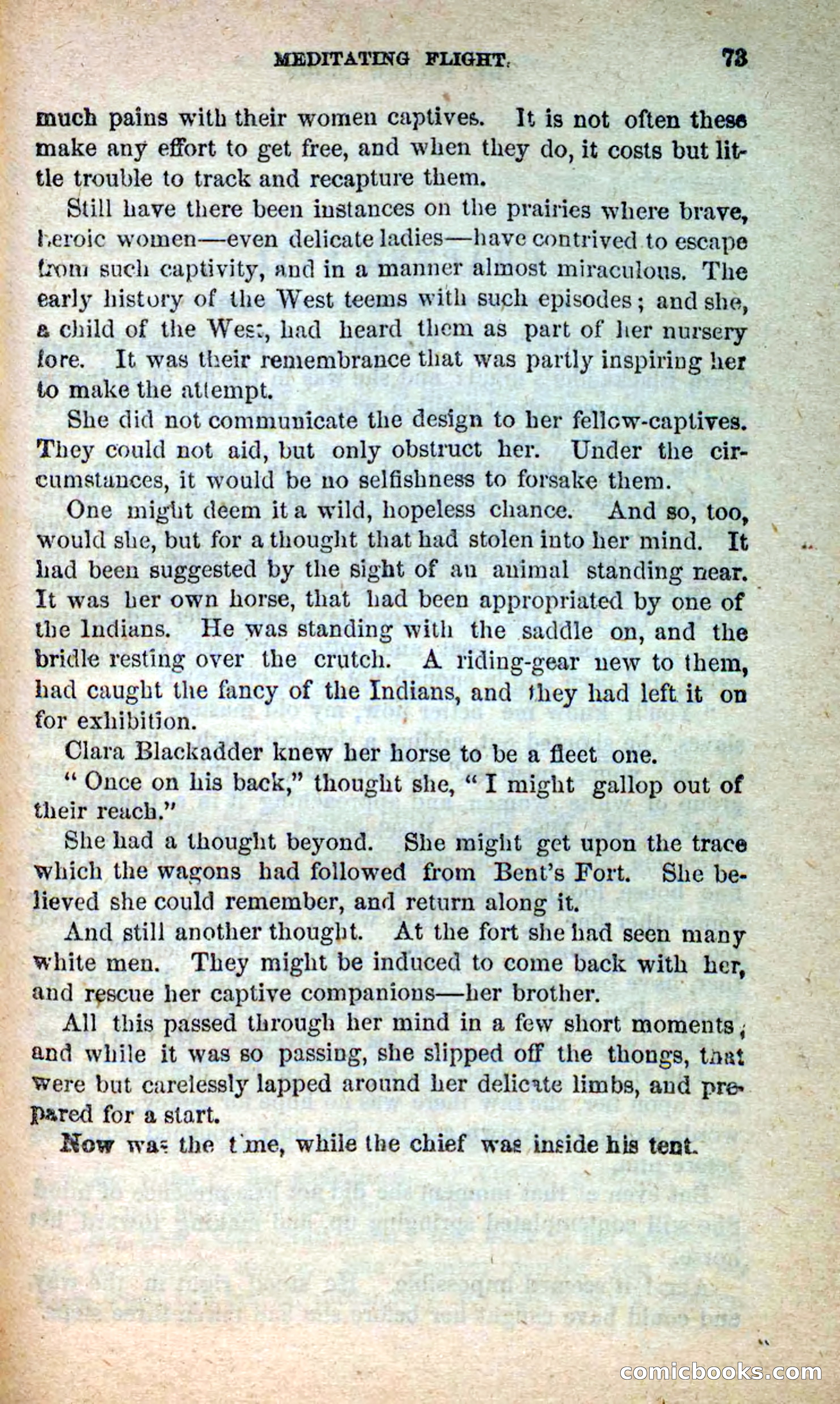 Beadle's New Dime Novels: Blue Dick — page 69 of 100