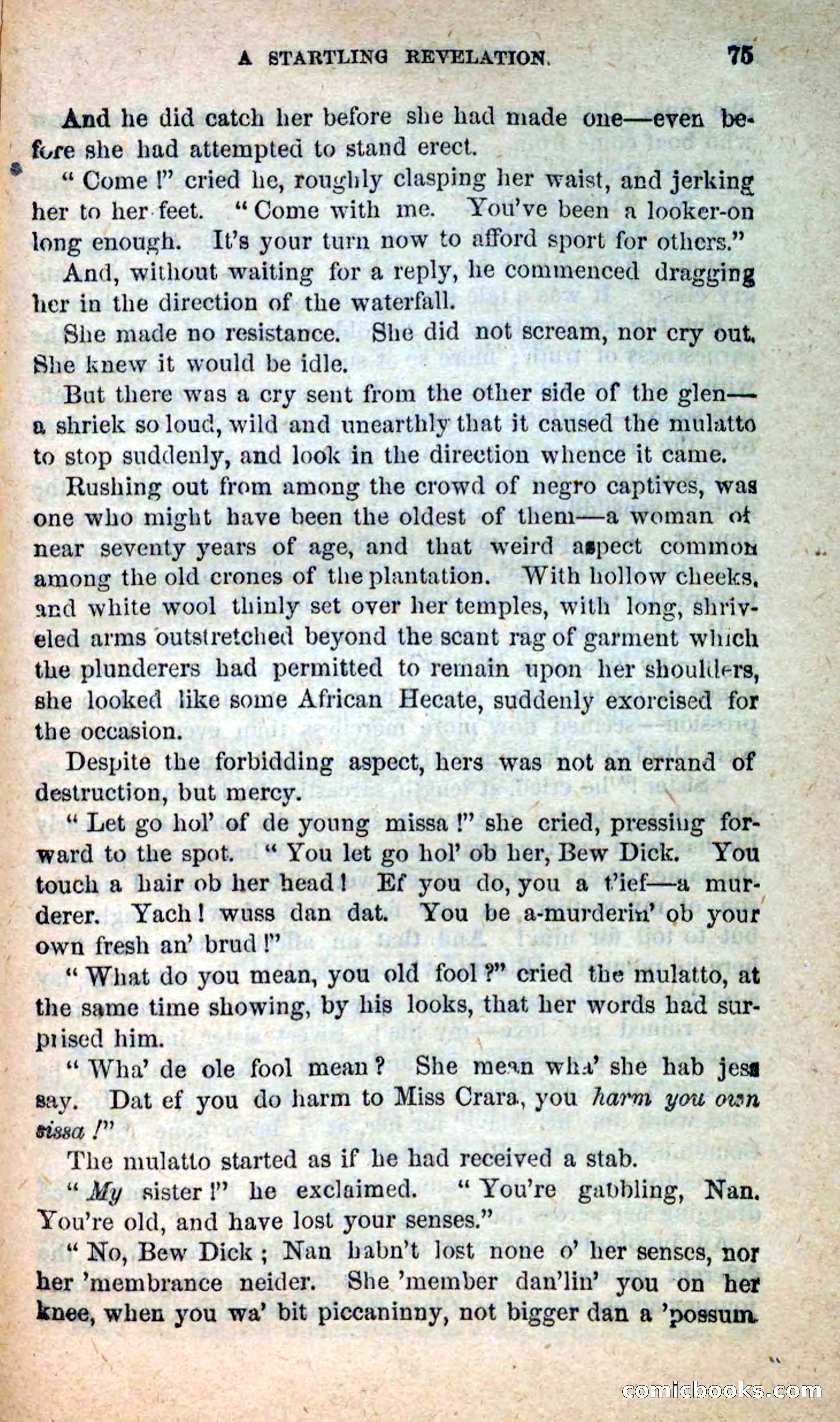 Beadle's New Dime Novels: Blue Dick — page 71 of 100