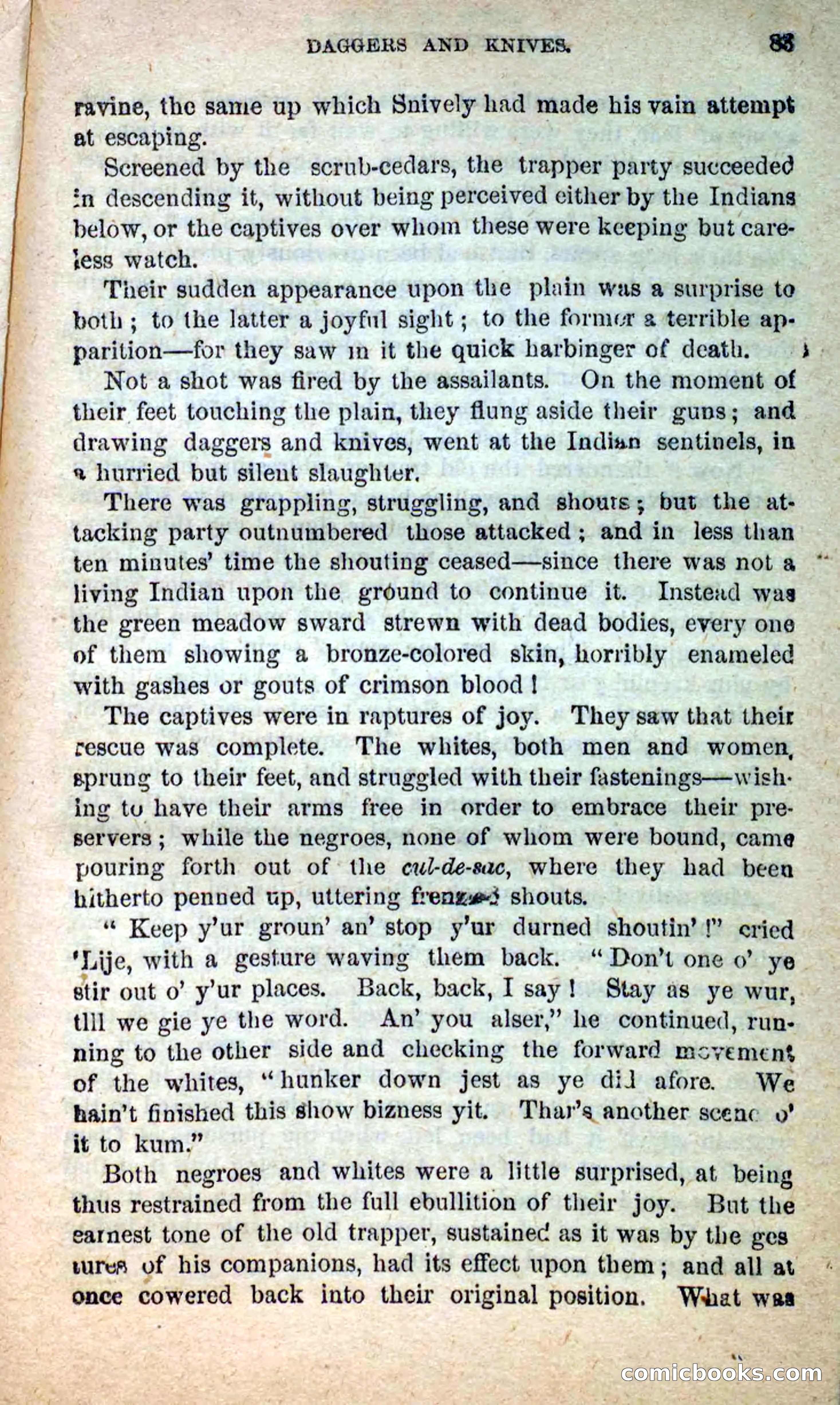 Beadle's New Dime Novels: Blue Dick — page 79 of 100