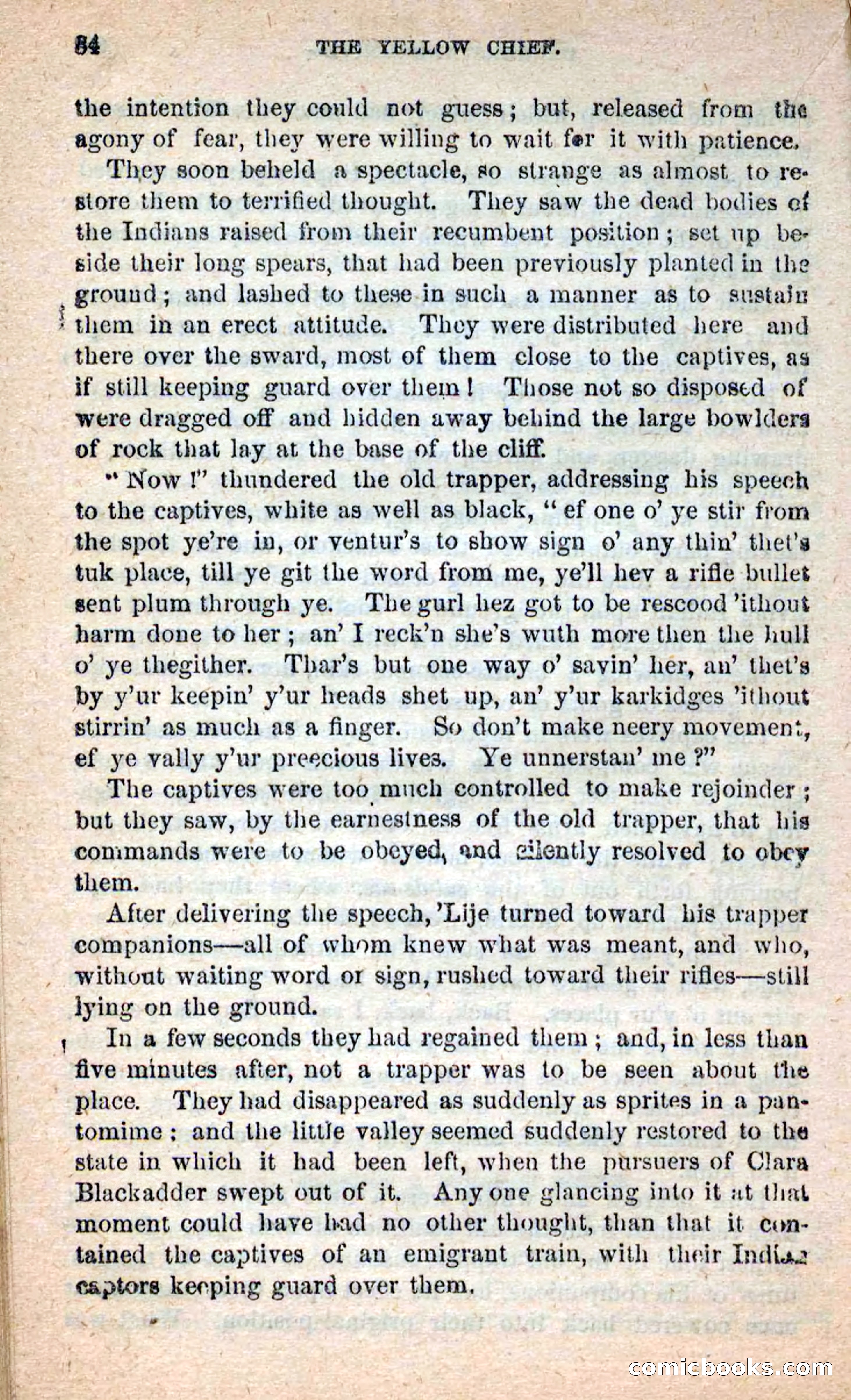 Beadle's New Dime Novels: Blue Dick — page 80 of 100