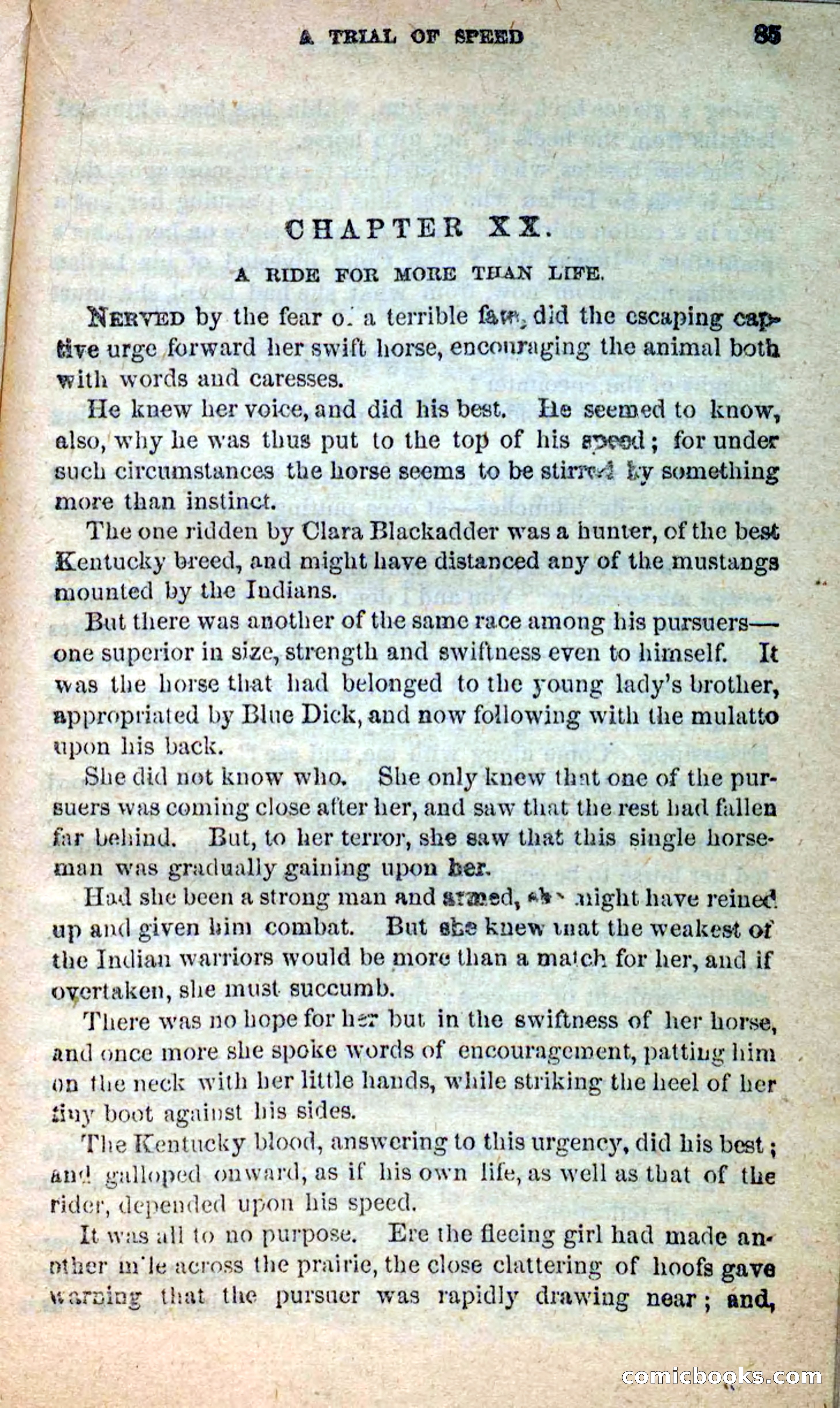 Beadle's New Dime Novels: Blue Dick — page 81 of 100