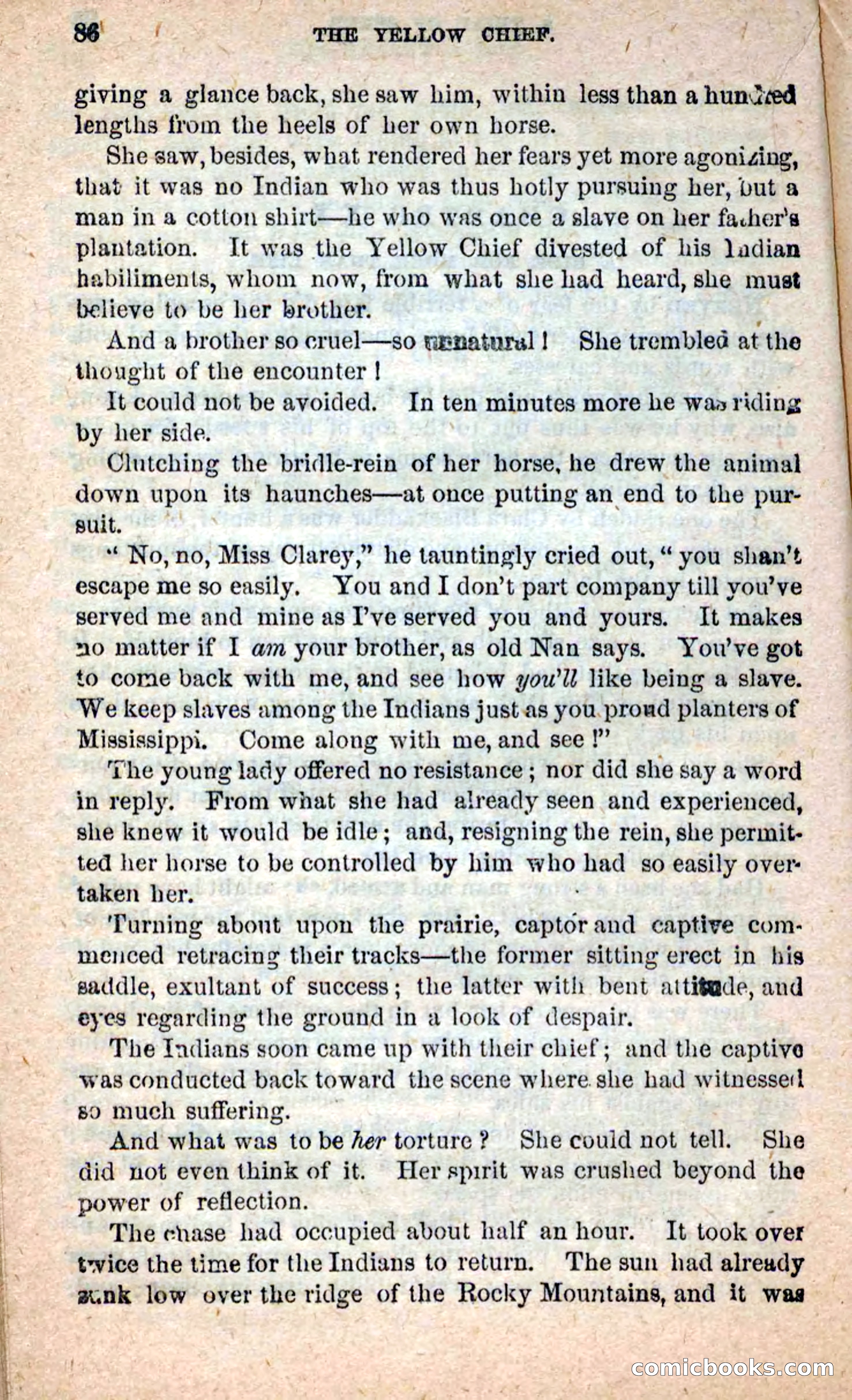 Beadle's New Dime Novels: Blue Dick — page 82 of 100