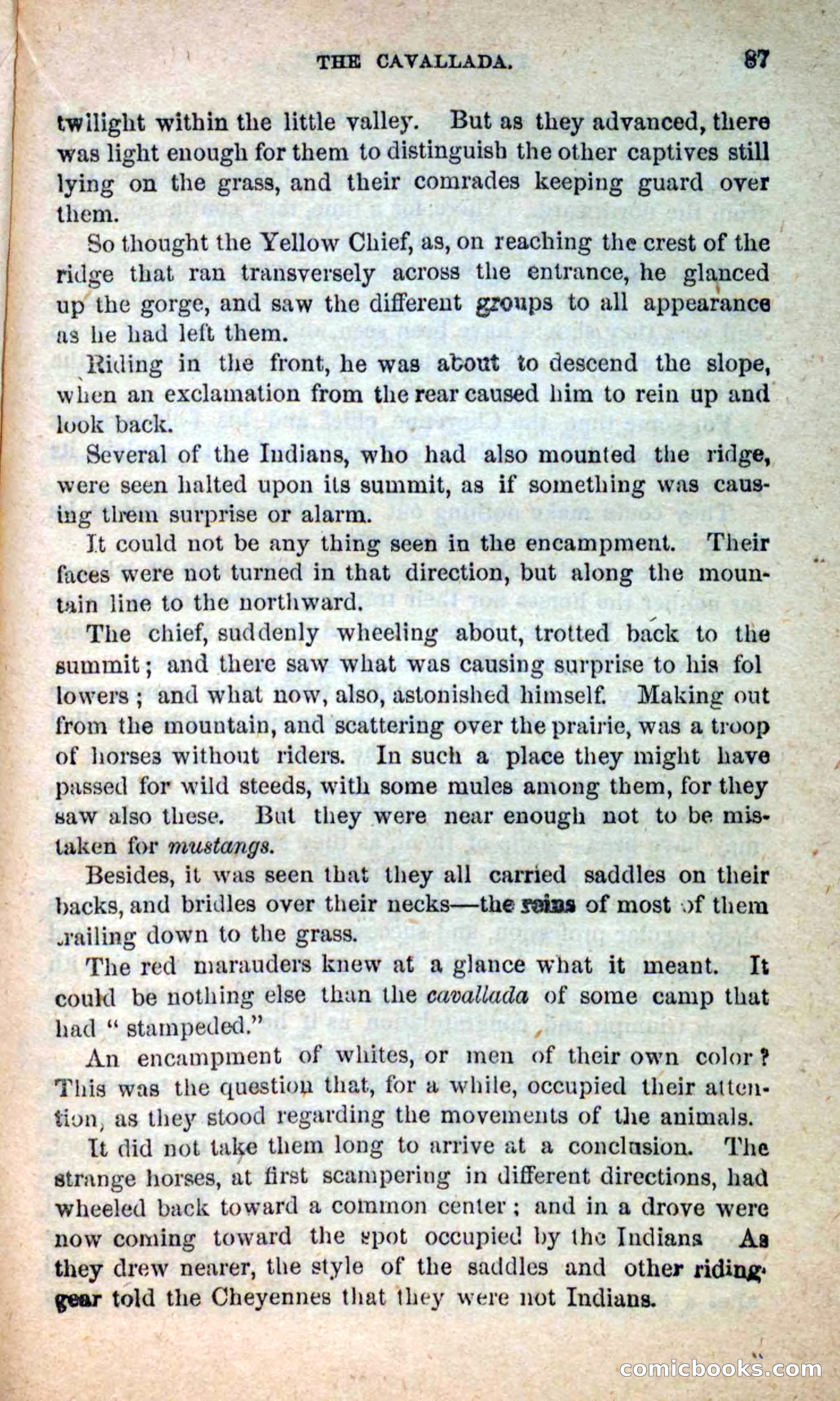 Beadle's New Dime Novels: Blue Dick — page 83 of 100
