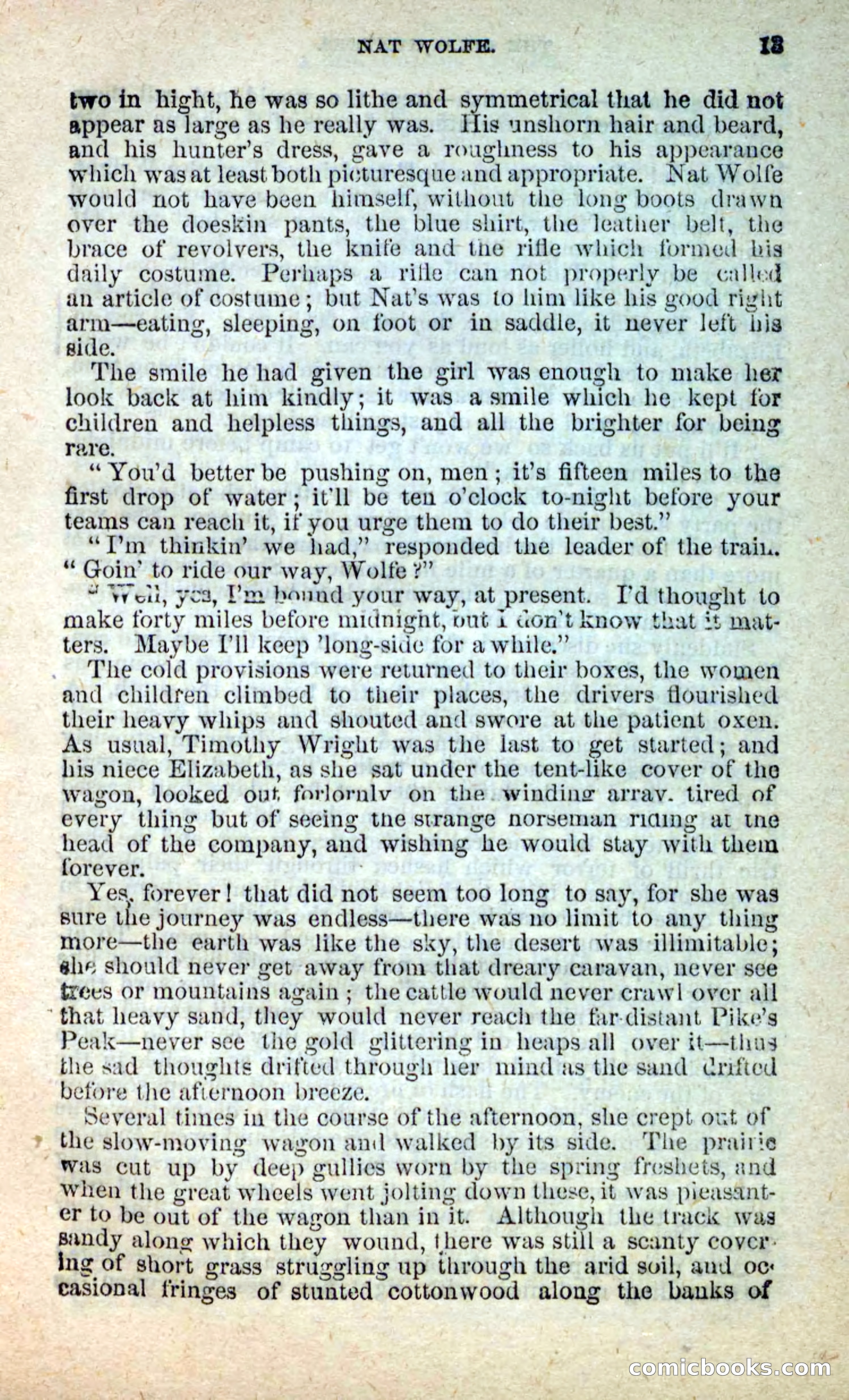 Beadle's New Dime Novels: Nat Wolfe — page 9 of 100