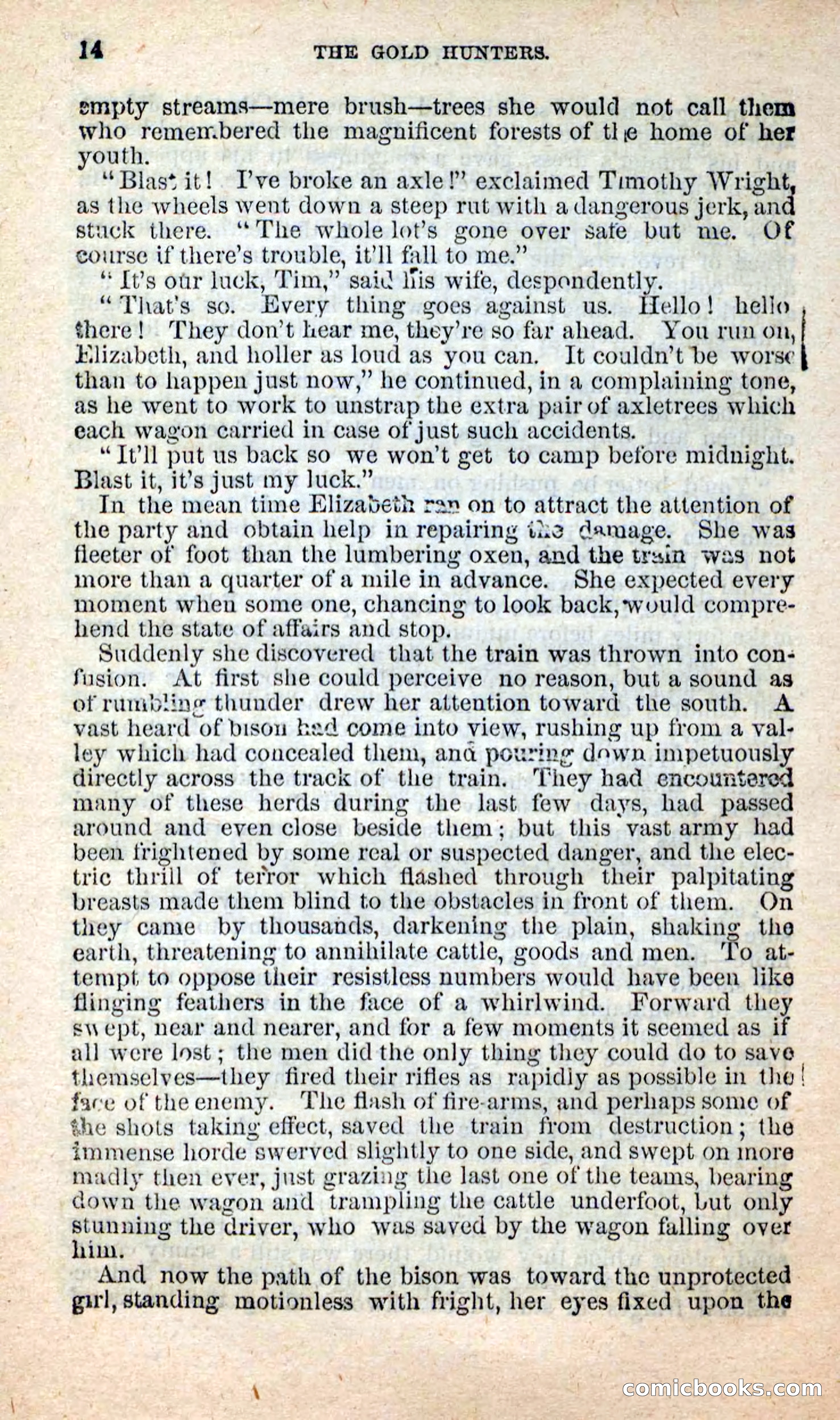 Beadle's New Dime Novels: Nat Wolfe — page 10 of 100