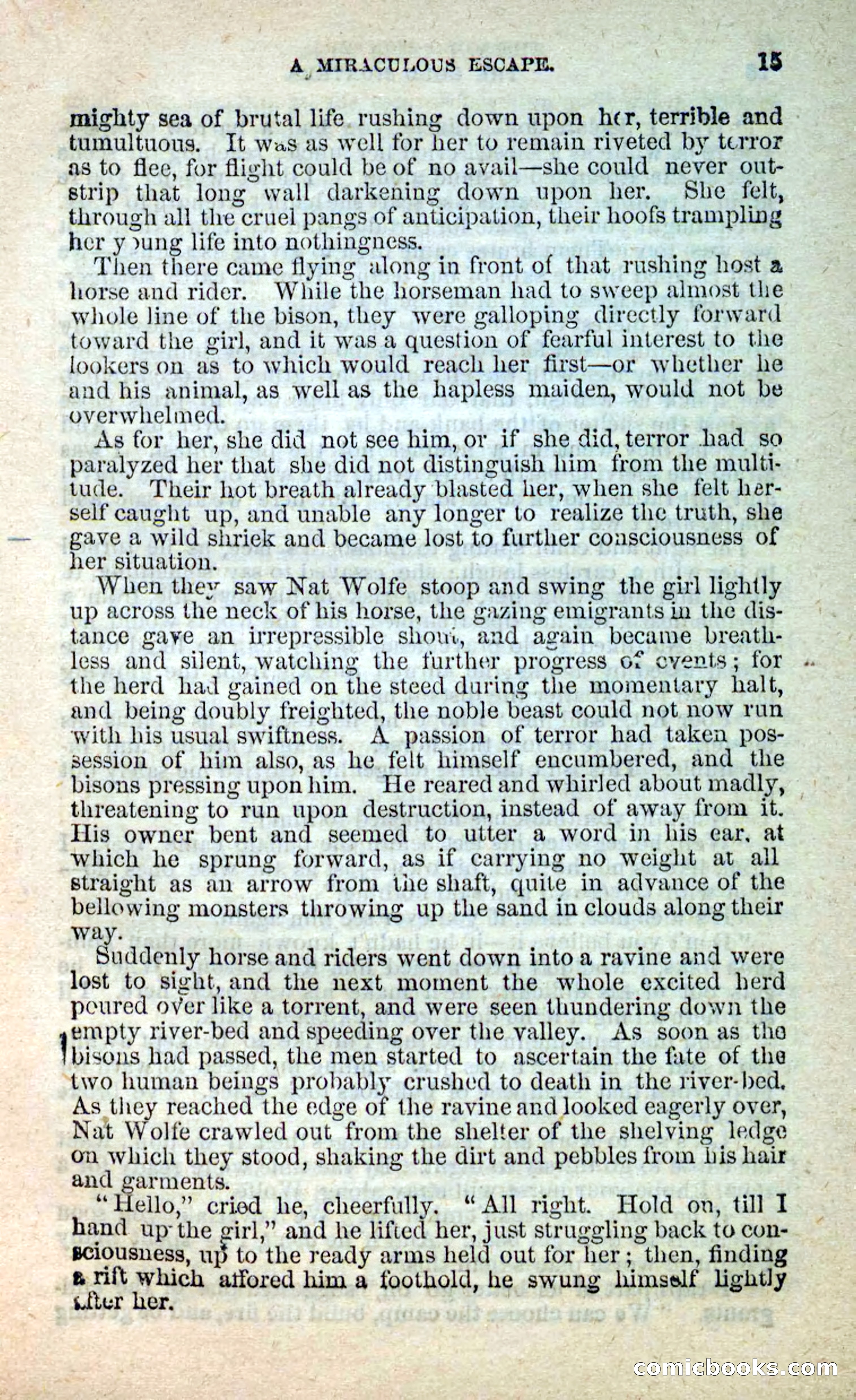 Beadle's New Dime Novels: Nat Wolfe — page 11 of 100