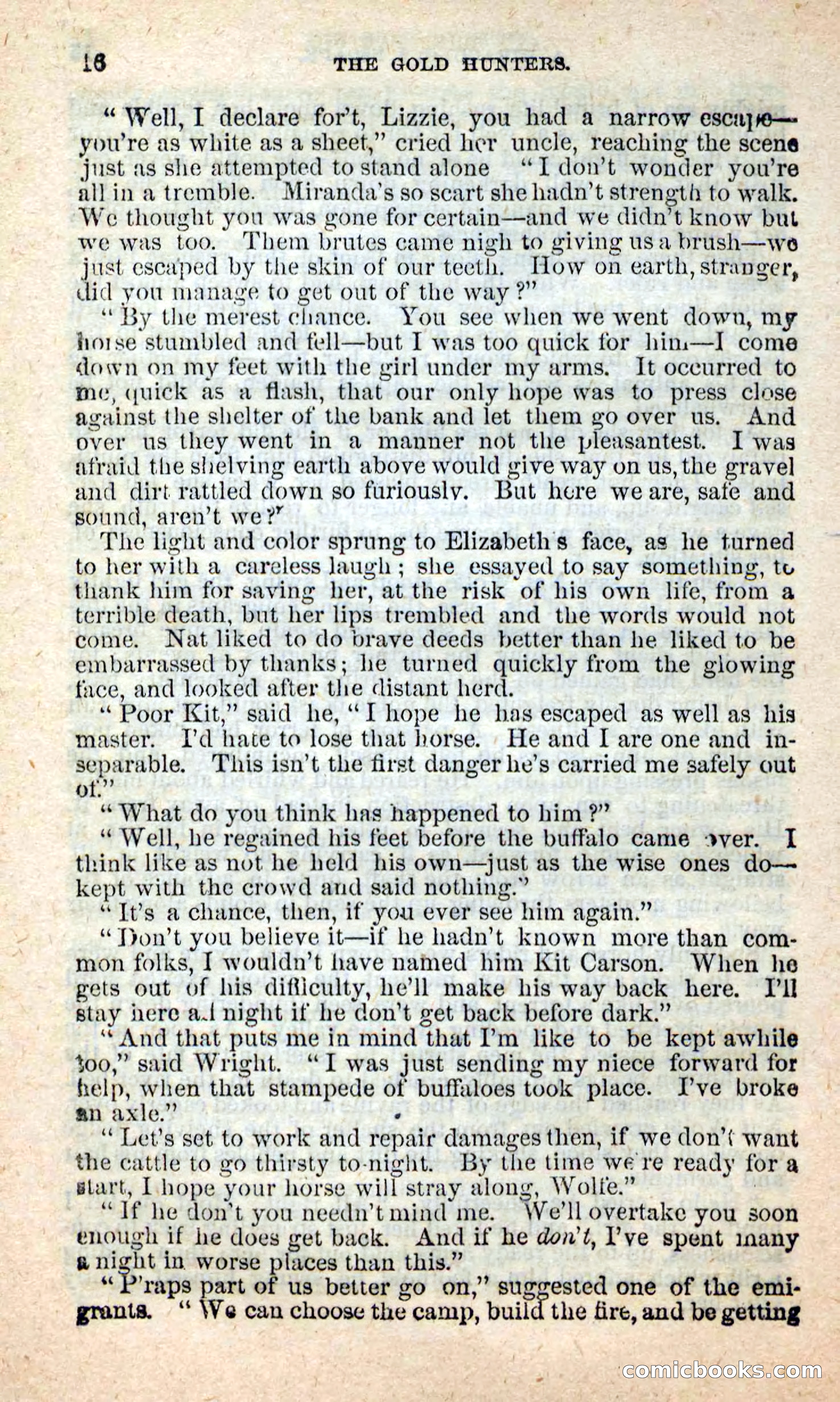 Beadle's New Dime Novels: Nat Wolfe — page 12 of 100