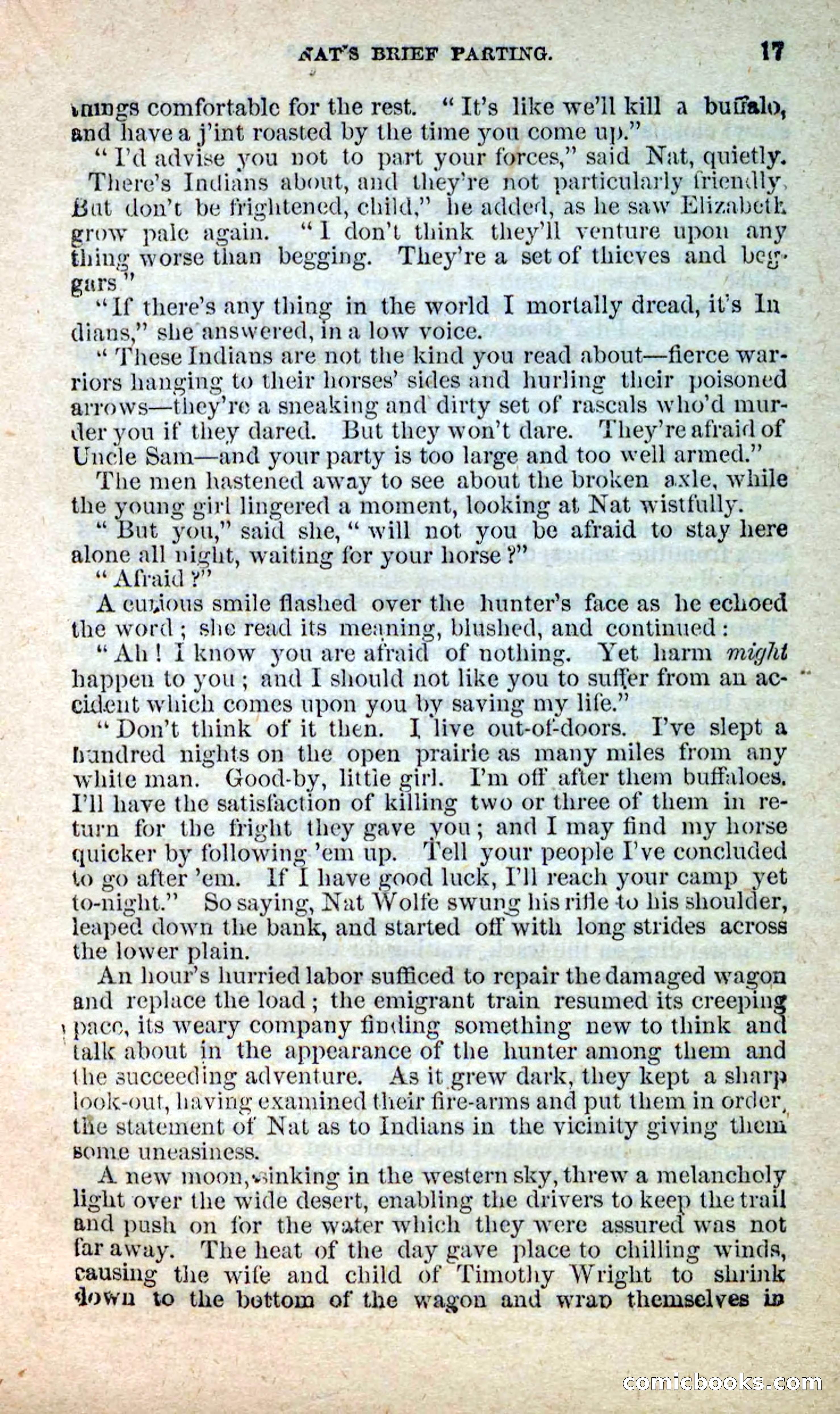 Beadle's New Dime Novels: Nat Wolfe — page 13 of 100