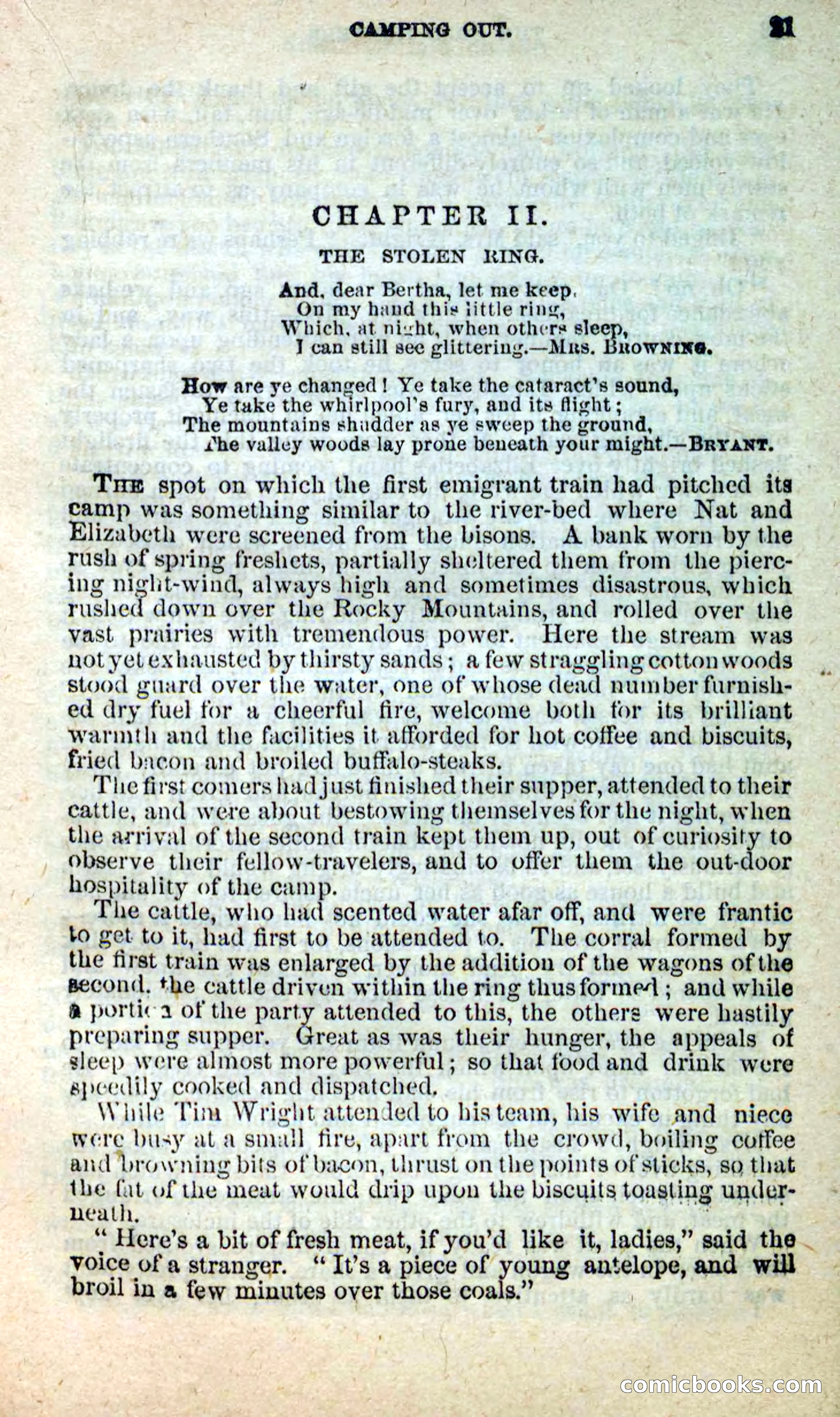 Beadle's New Dime Novels: Nat Wolfe — page 17 of 100