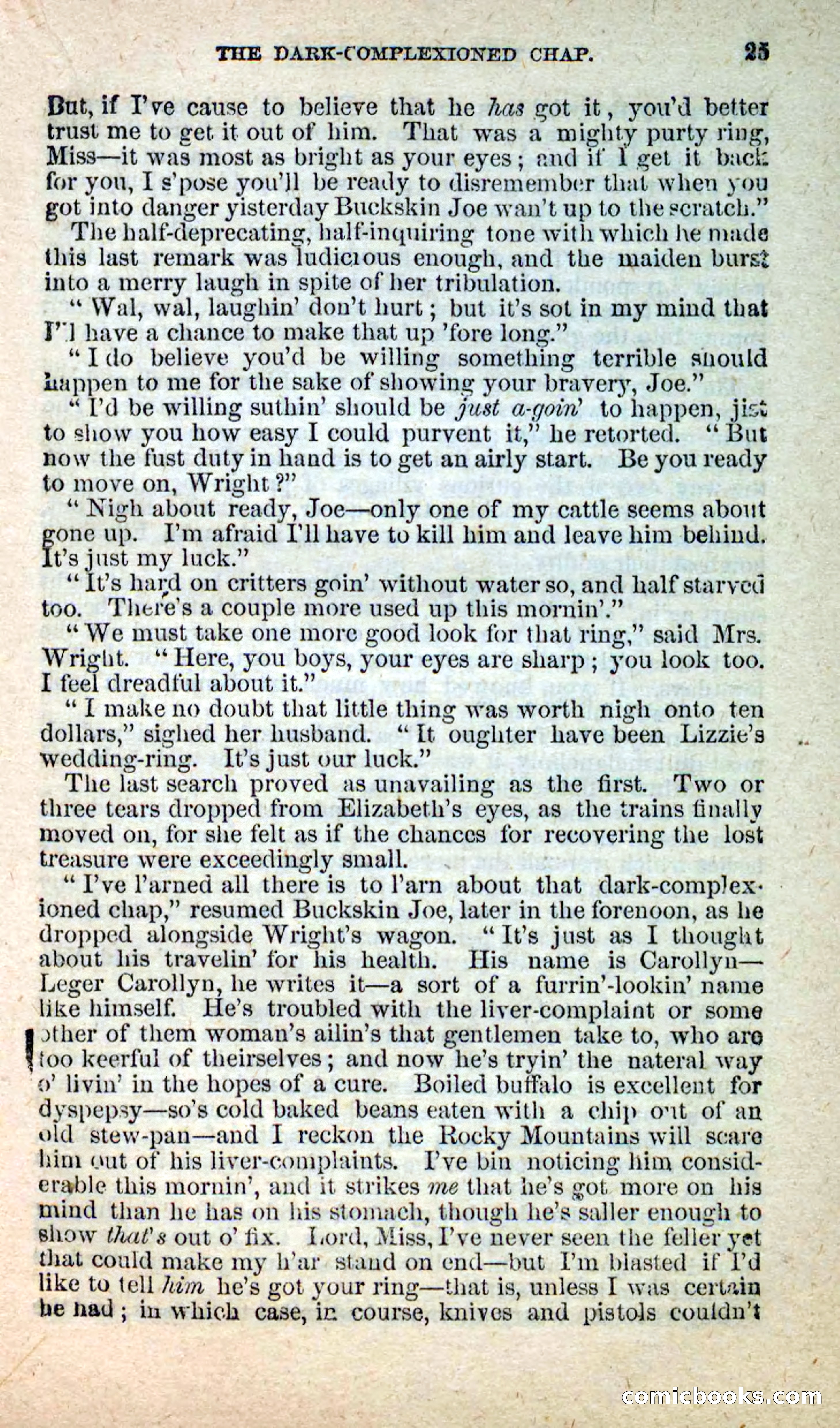 Beadle's New Dime Novels: Nat Wolfe — page 21 of 100