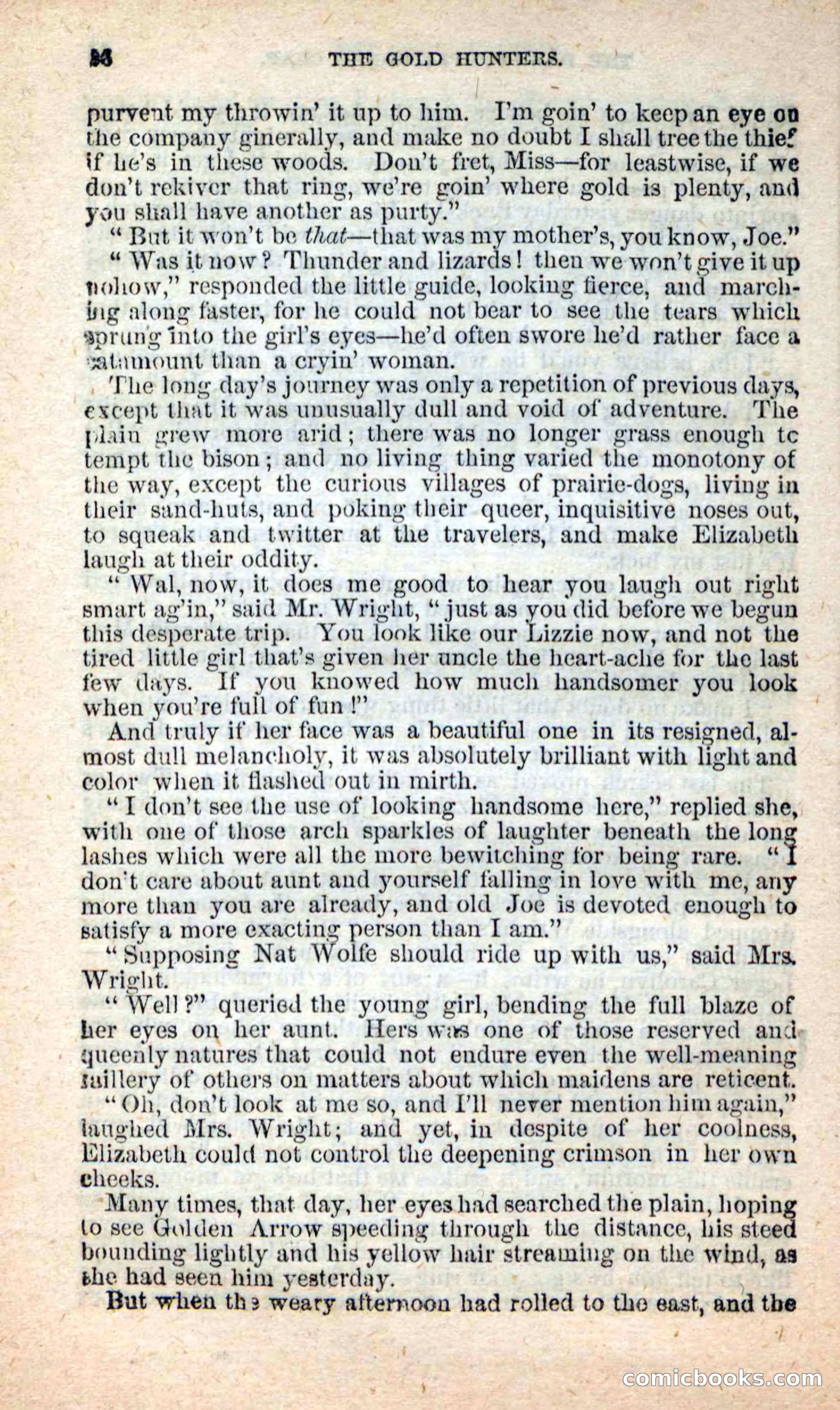 Beadle's New Dime Novels: Nat Wolfe — page 22 of 100