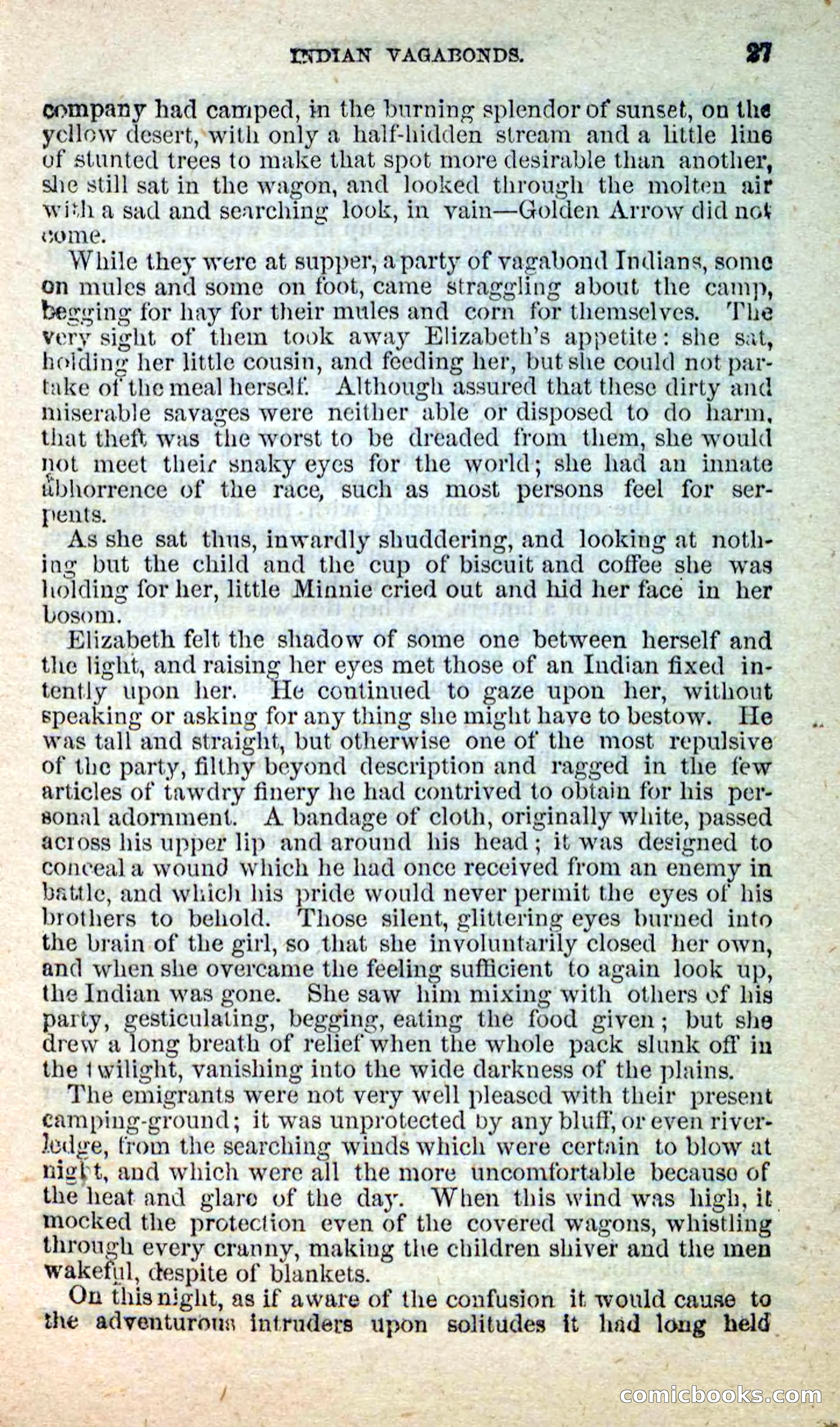 Beadle's New Dime Novels: Nat Wolfe — page 23 of 100