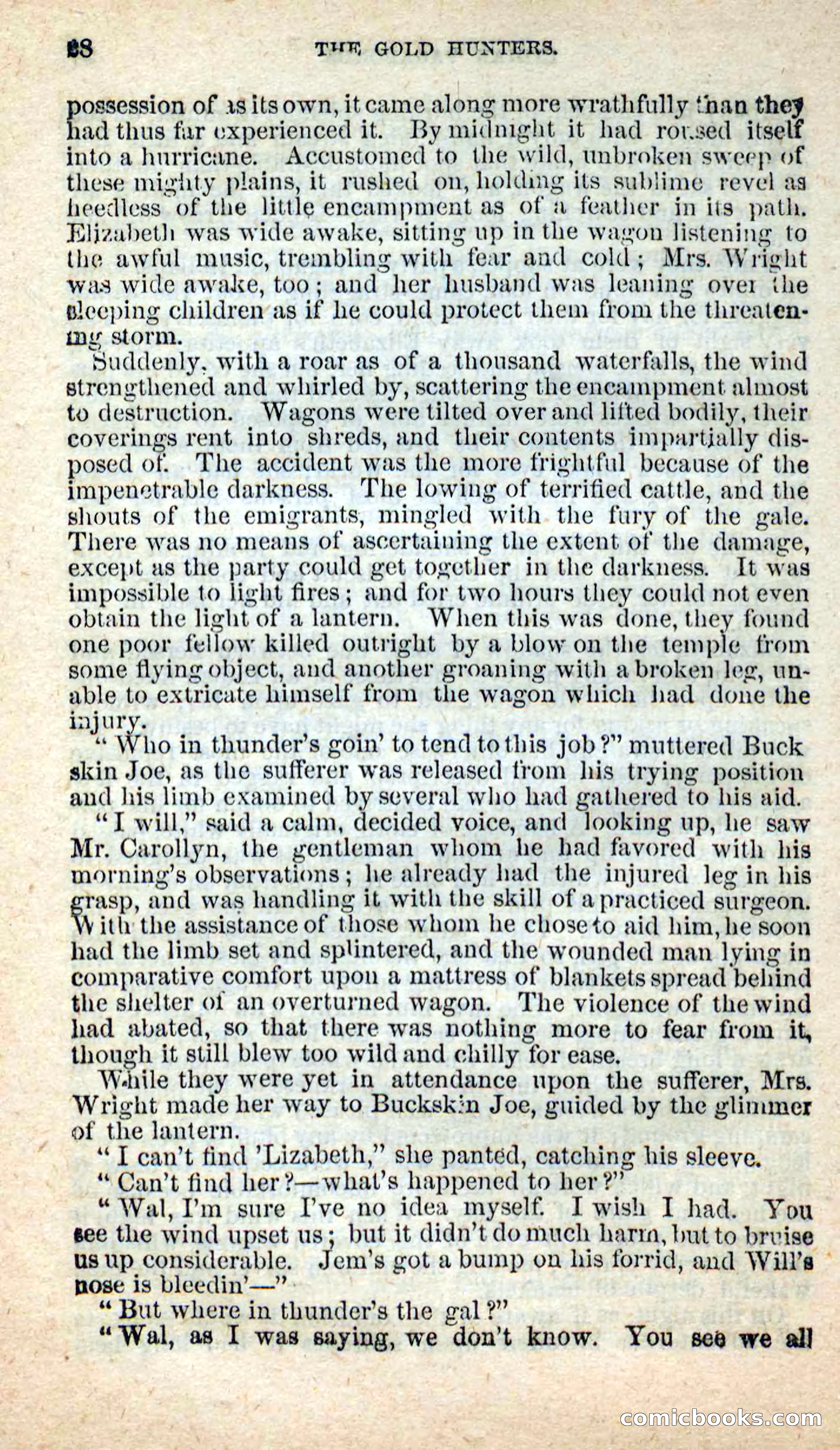 Beadle's New Dime Novels: Nat Wolfe — page 24 of 100
