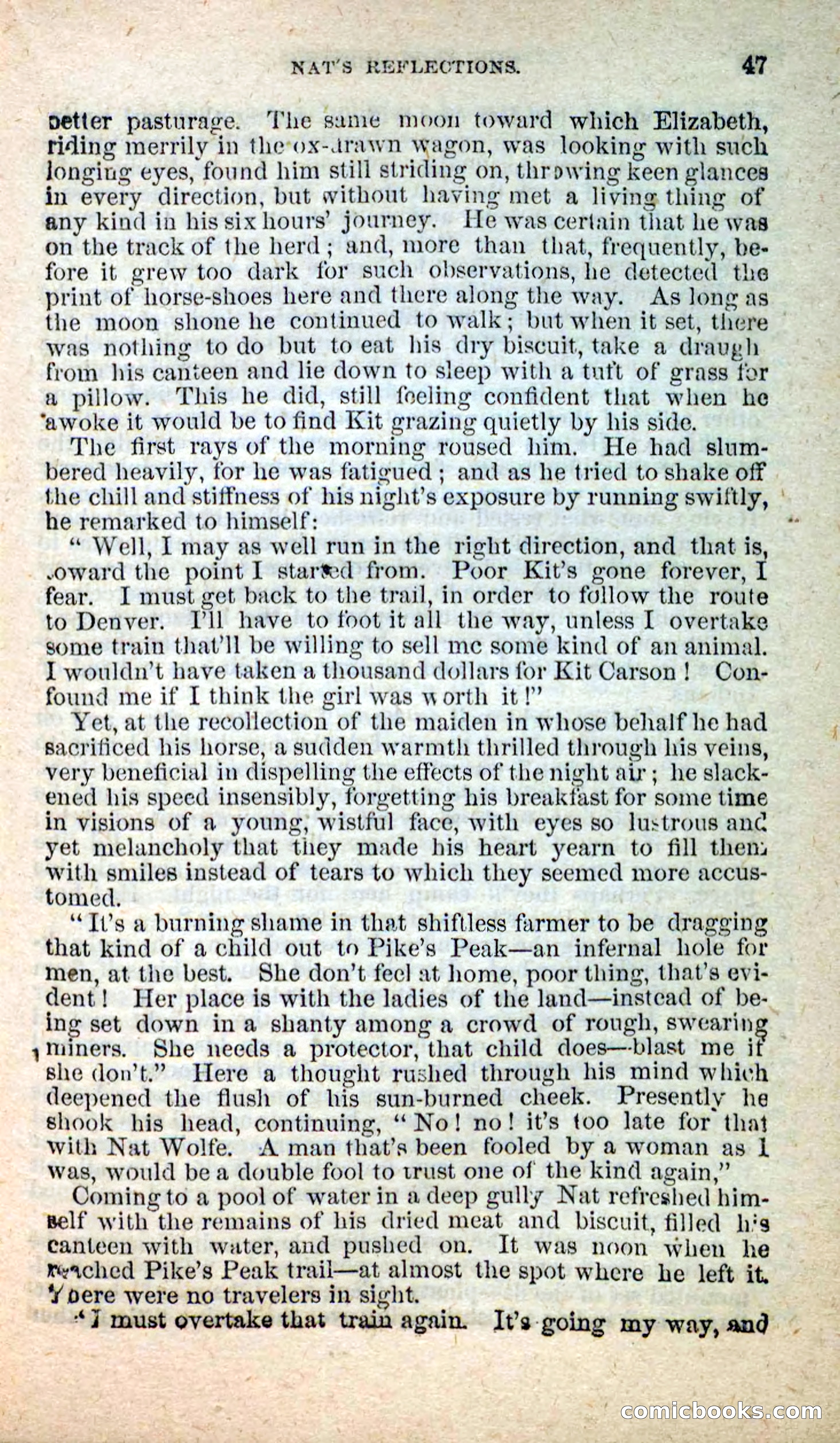Beadle's New Dime Novels: Nat Wolfe — page 43 of 100
