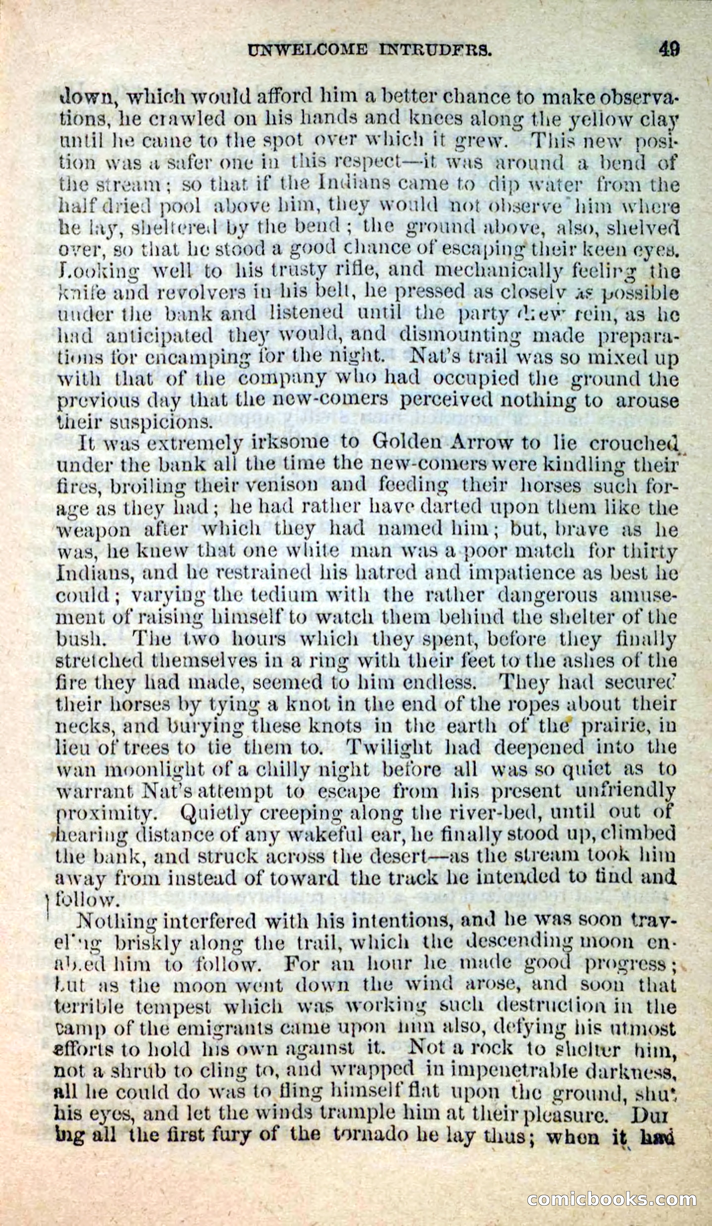 Beadle's New Dime Novels: Nat Wolfe — page 45 of 100