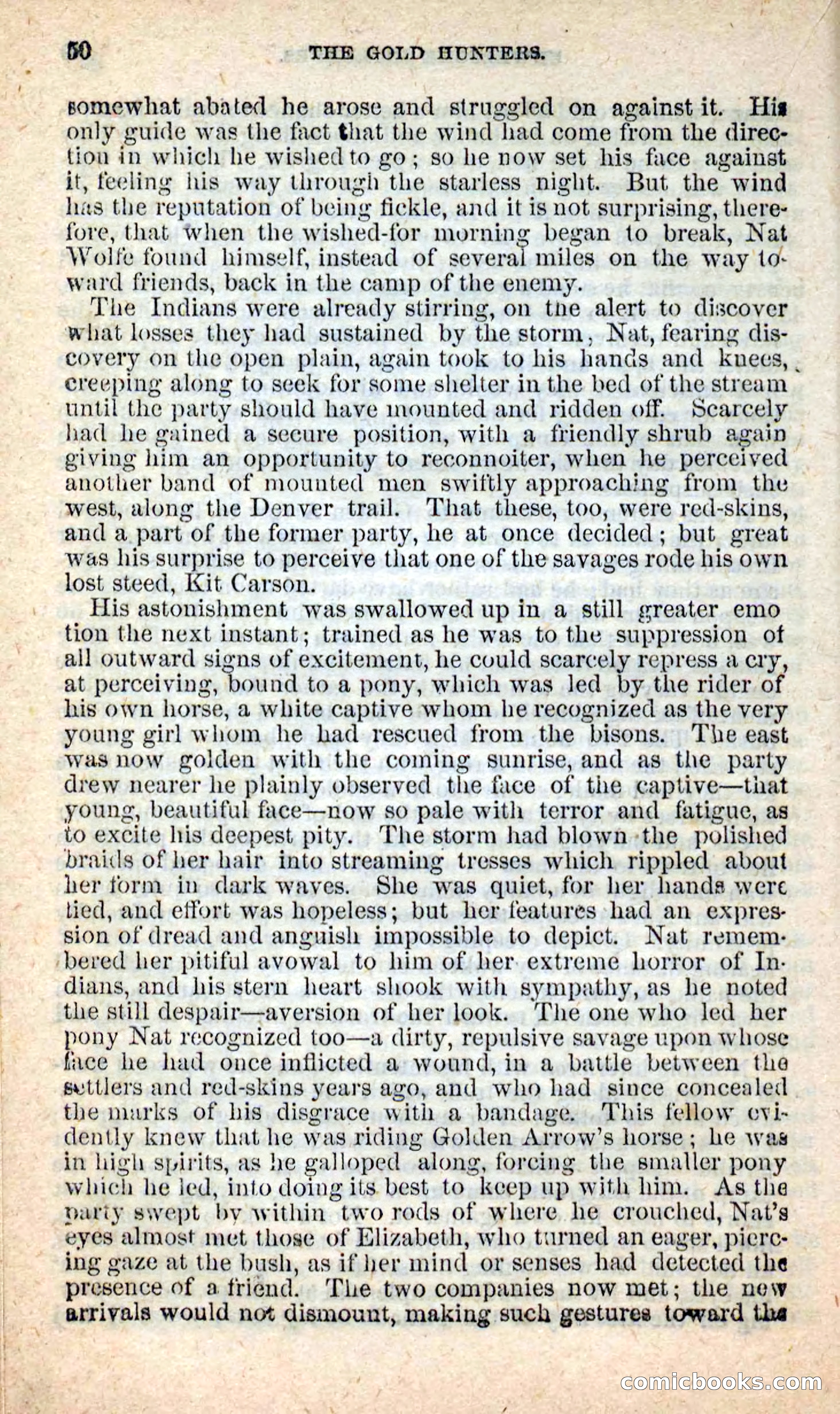 Beadle's New Dime Novels: Nat Wolfe — page 46 of 100