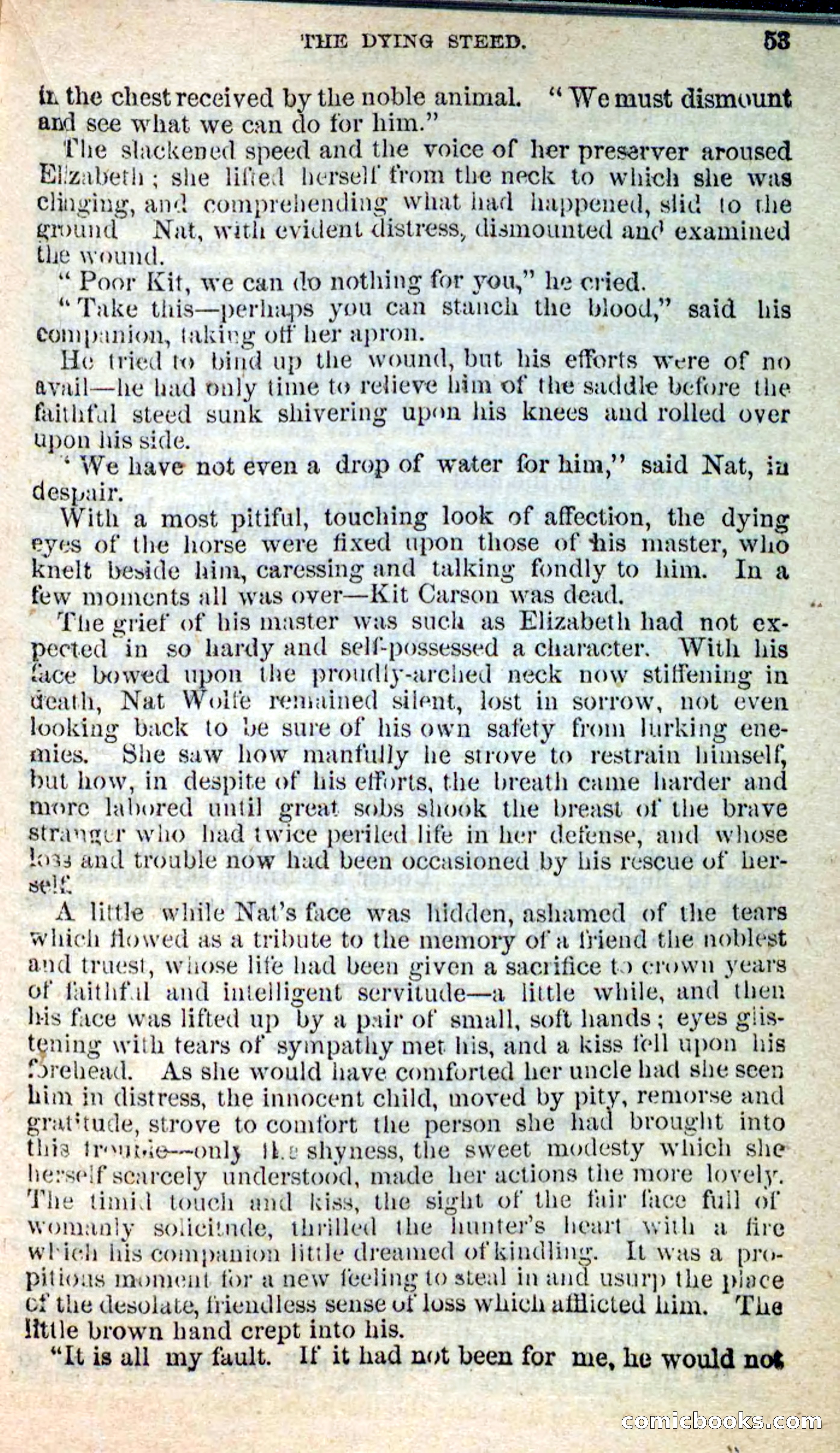 Beadle's New Dime Novels: Nat Wolfe — page 49 of 100