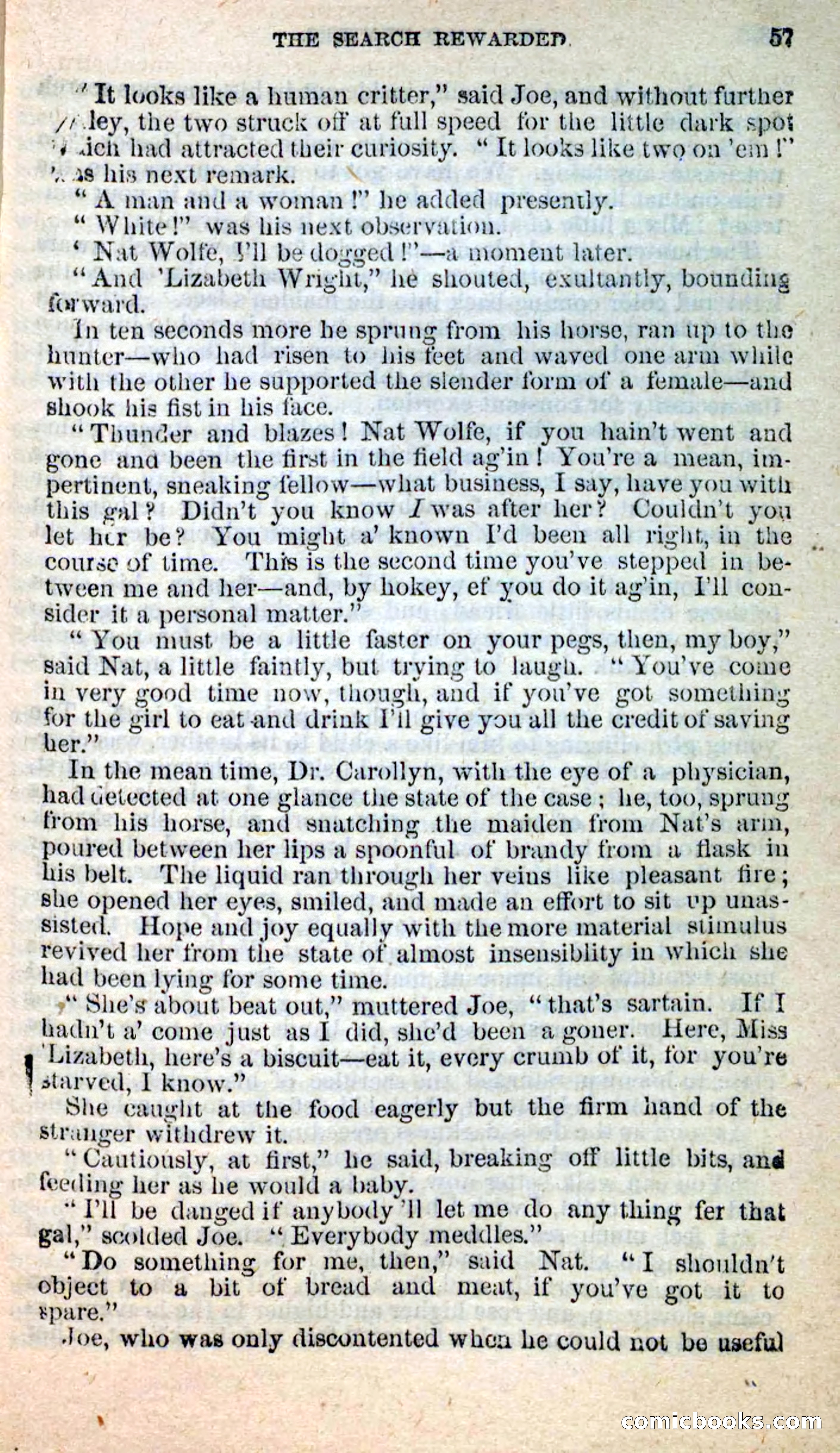 Beadle's New Dime Novels: Nat Wolfe — page 53 of 100
