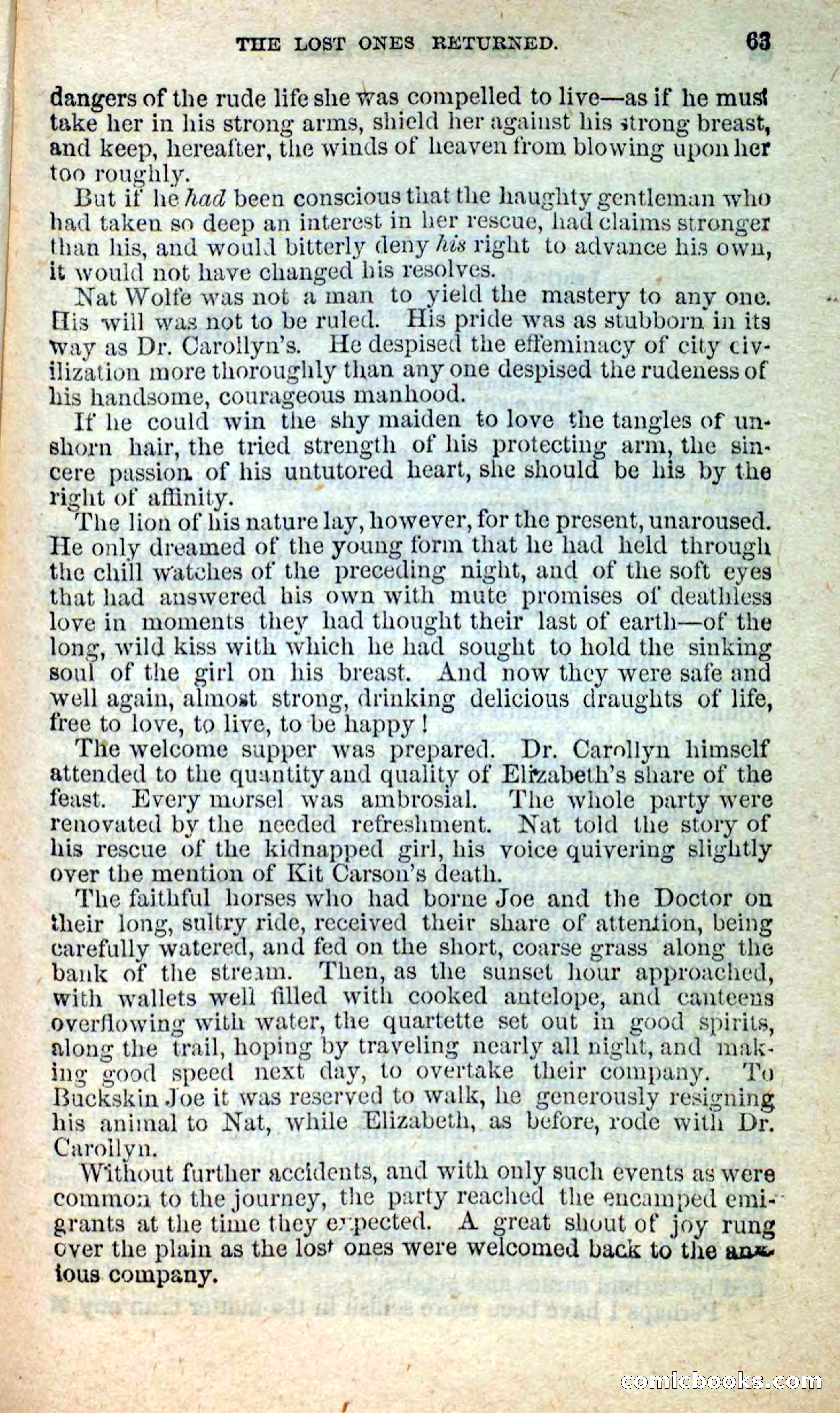 Beadle's New Dime Novels: Nat Wolfe — page 59 of 100