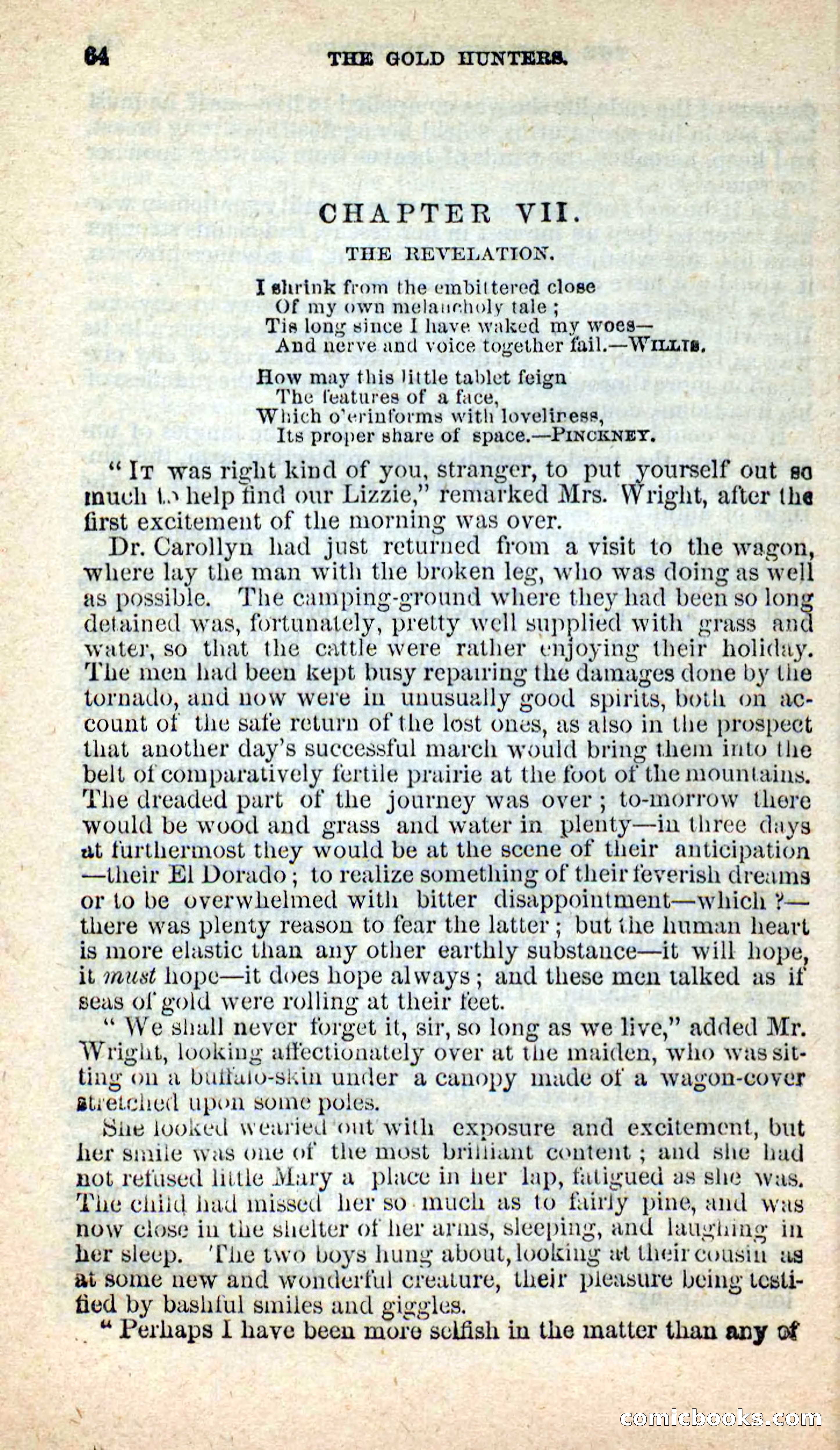 Beadle's New Dime Novels: Nat Wolfe — page 60 of 100
