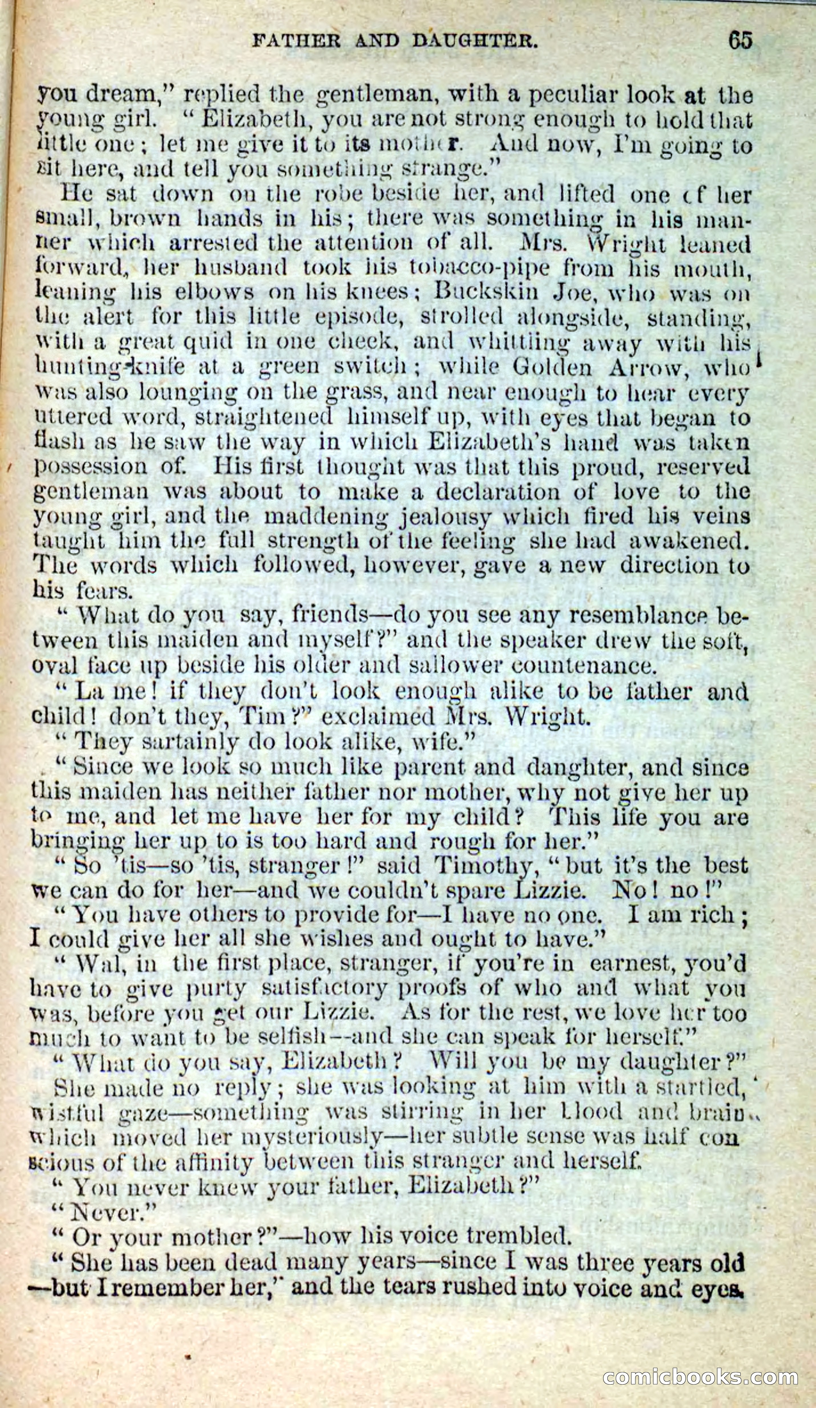 Beadle's New Dime Novels: Nat Wolfe — page 61 of 100