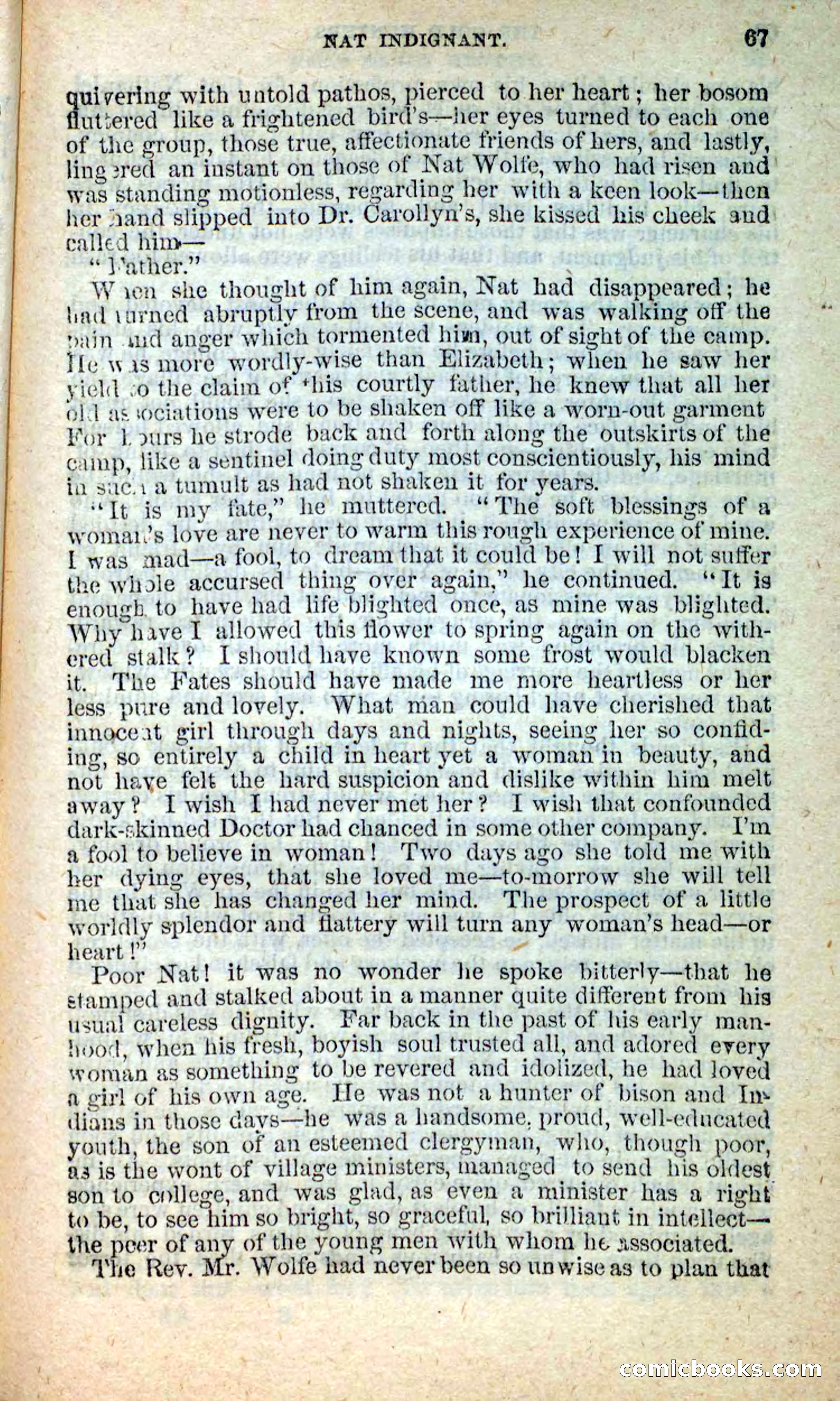 Beadle's New Dime Novels: Nat Wolfe — page 63 of 100