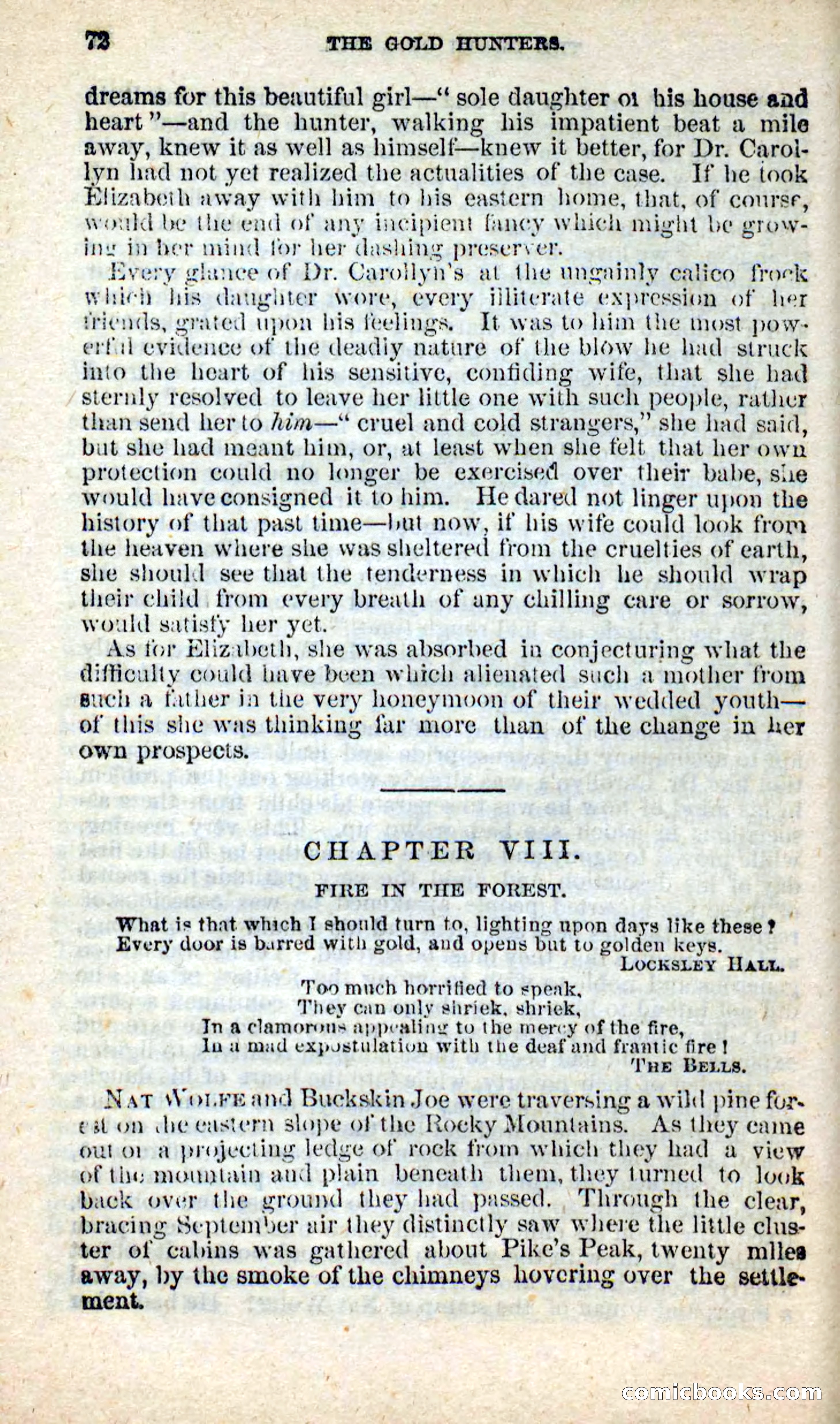 Beadle's New Dime Novels: Nat Wolfe — page 68 of 100