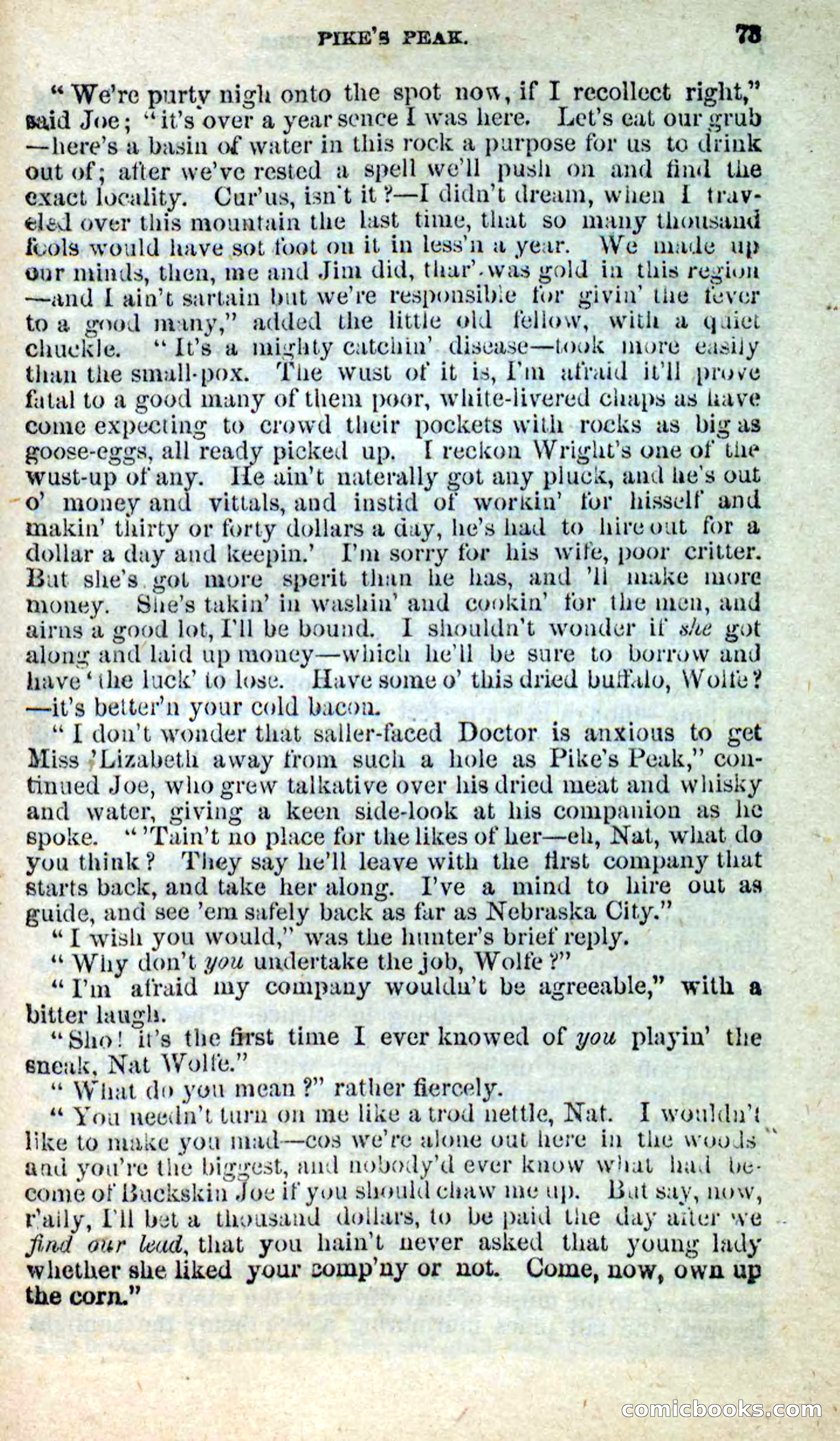 Beadle's New Dime Novels: Nat Wolfe — page 69 of 100