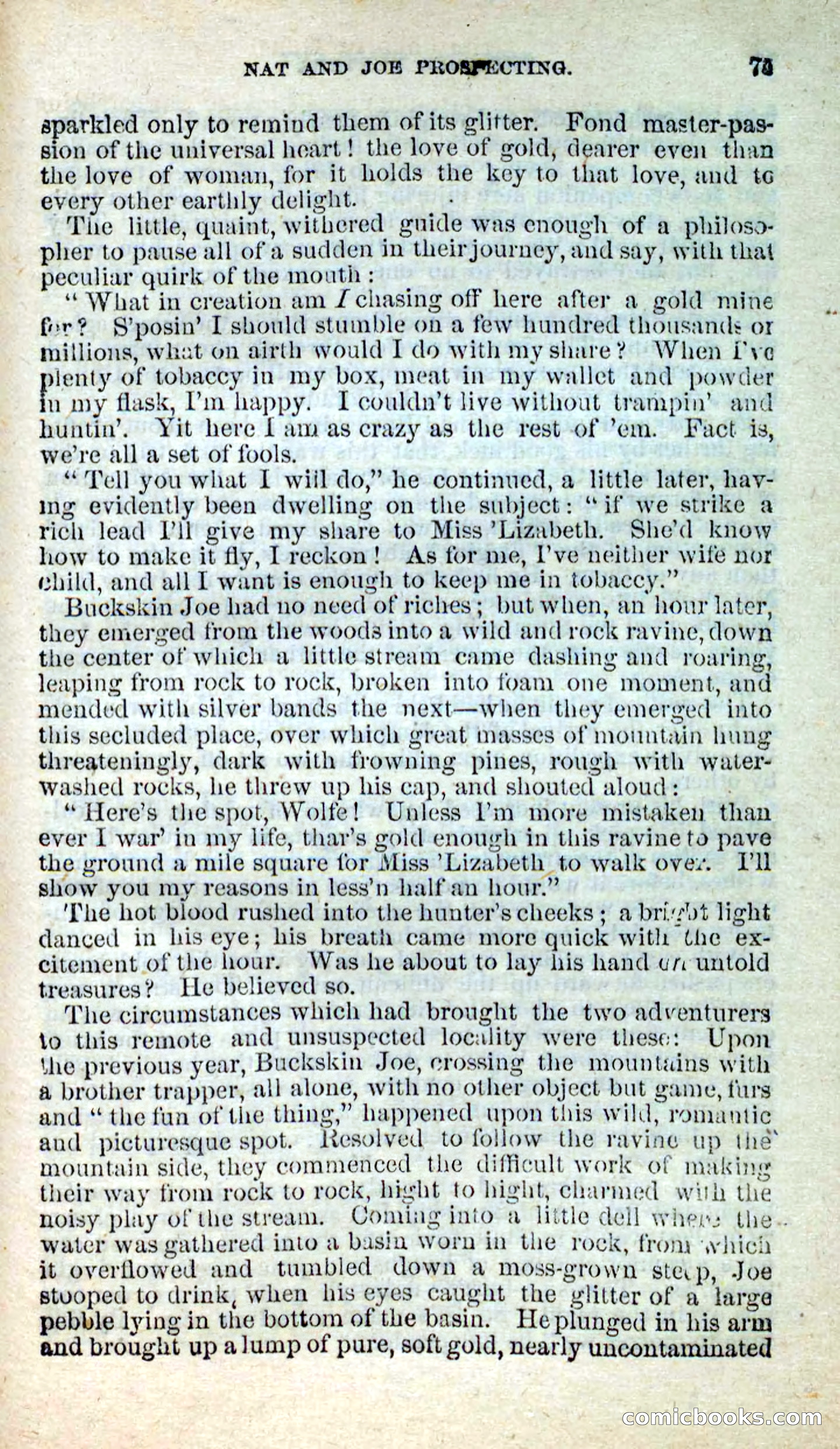 Beadle's New Dime Novels: Nat Wolfe — page 71 of 100