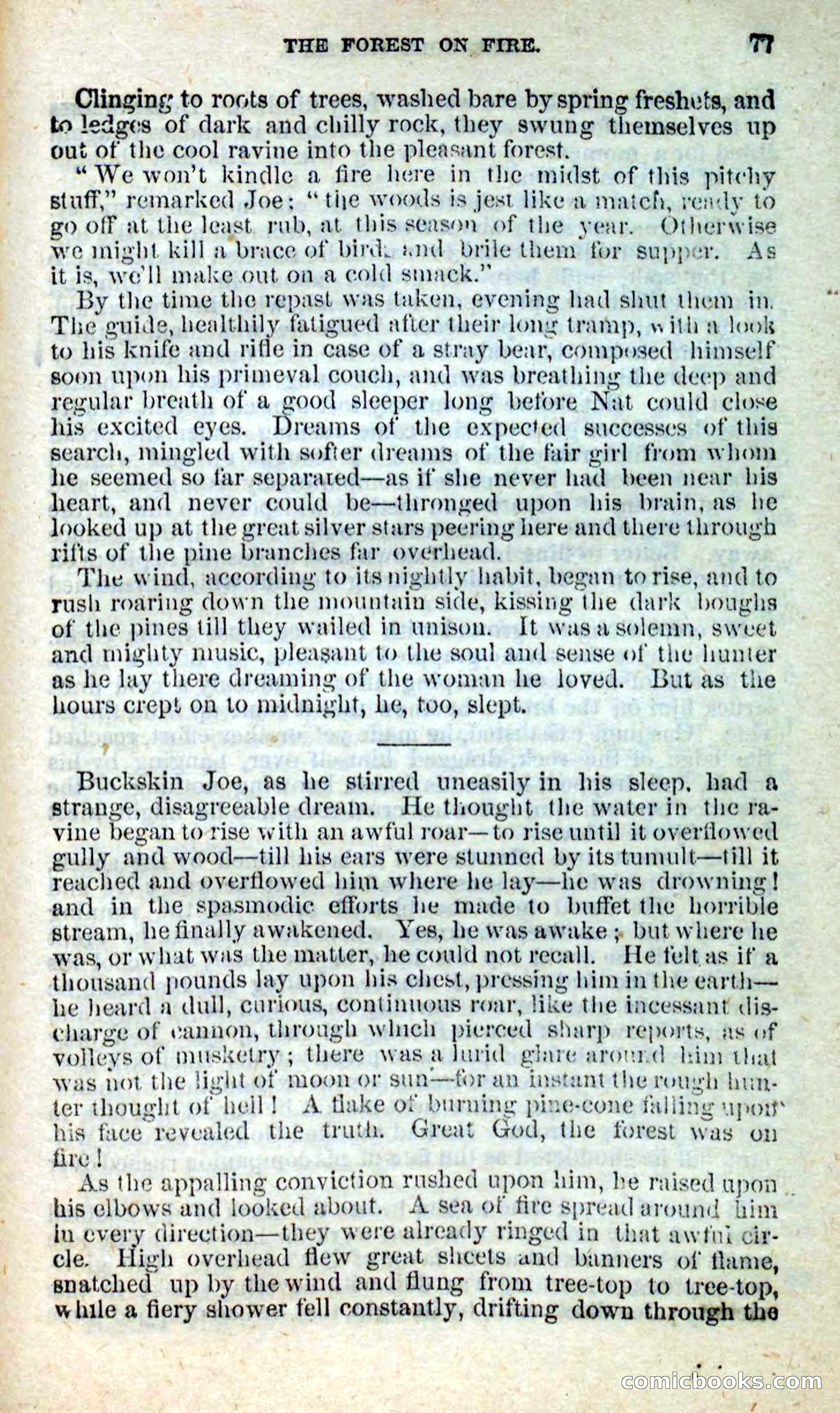 Beadle's New Dime Novels: Nat Wolfe — page 73 of 100