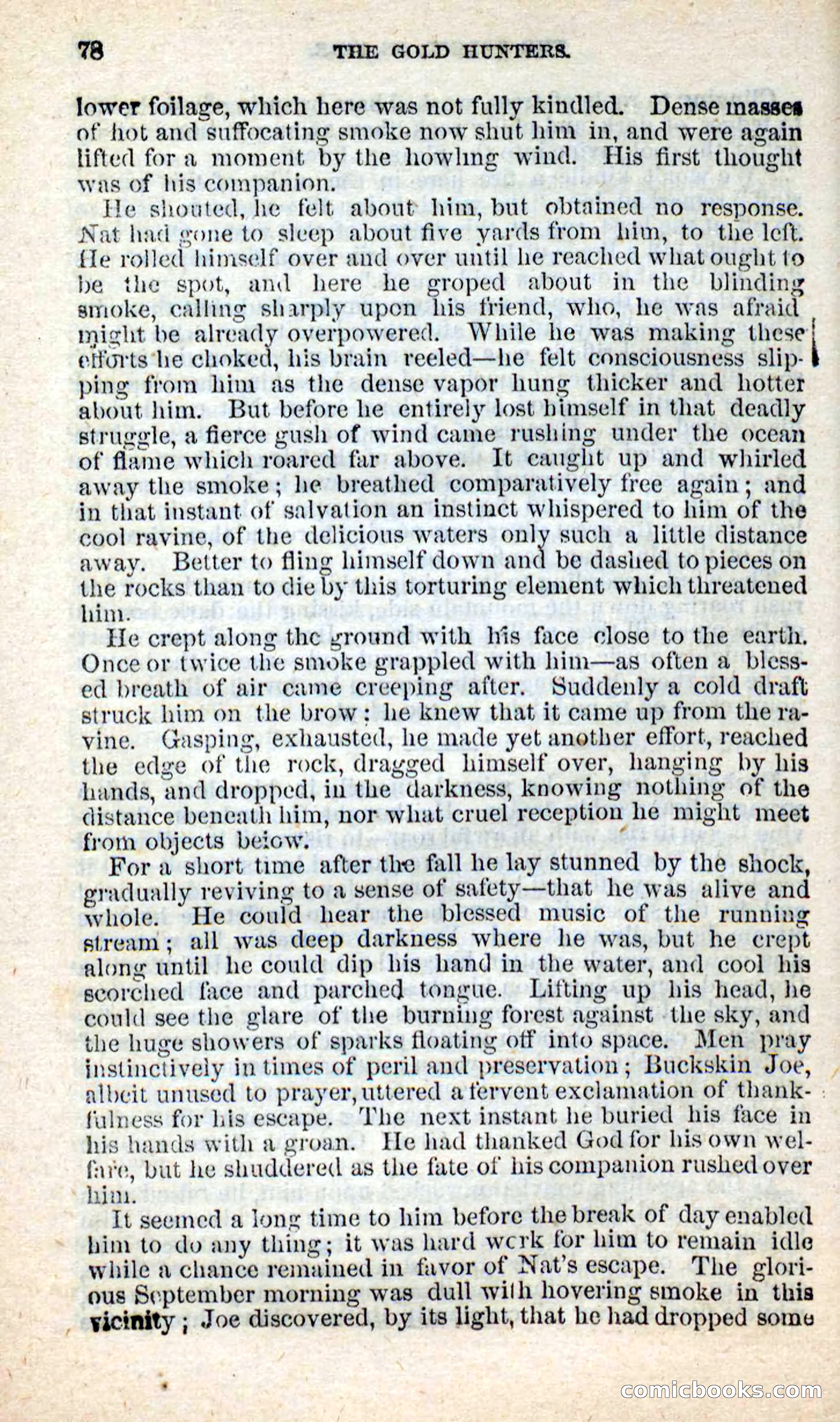 Beadle's New Dime Novels: Nat Wolfe — page 74 of 100