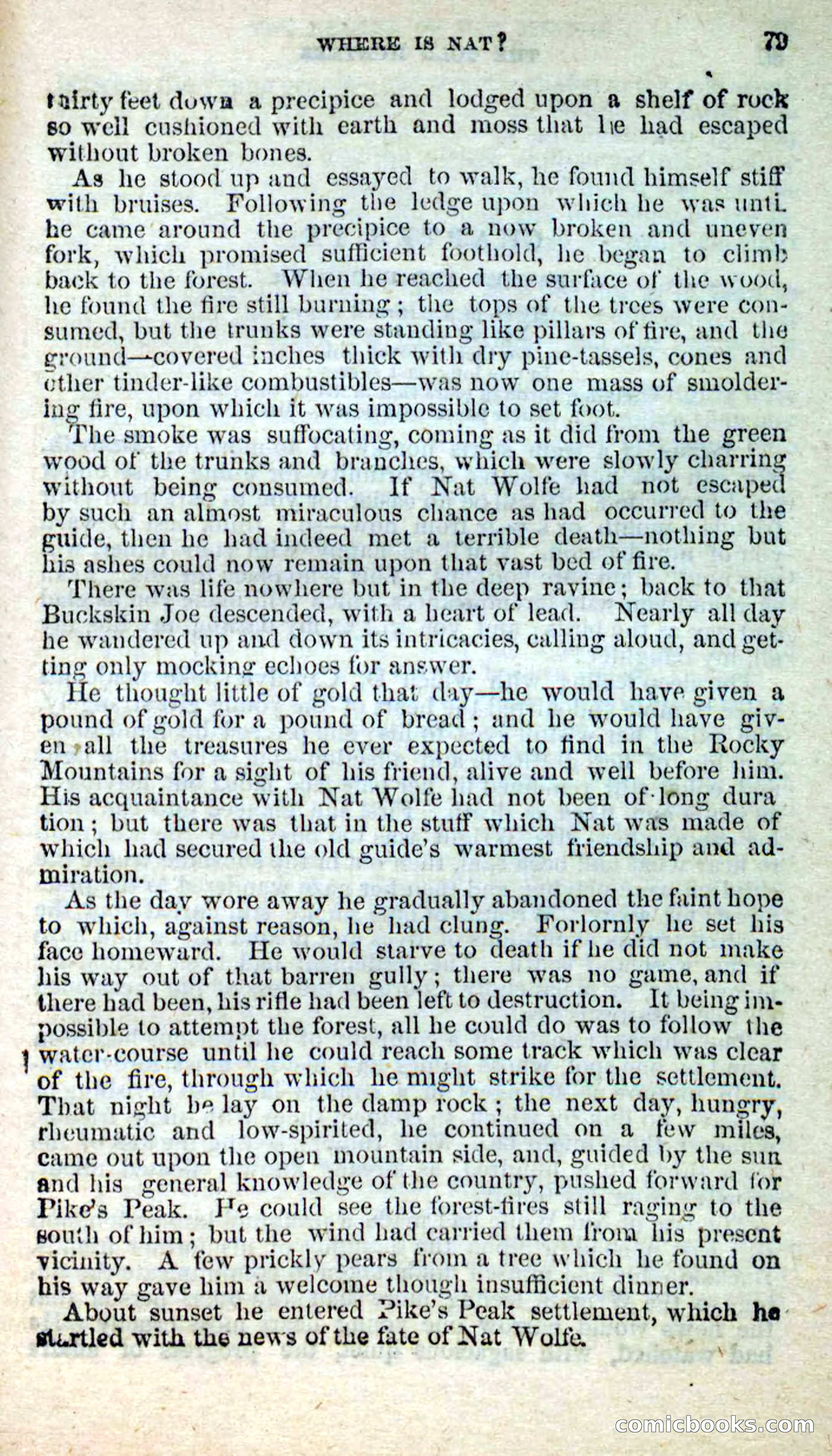 Beadle's New Dime Novels: Nat Wolfe — page 75 of 100