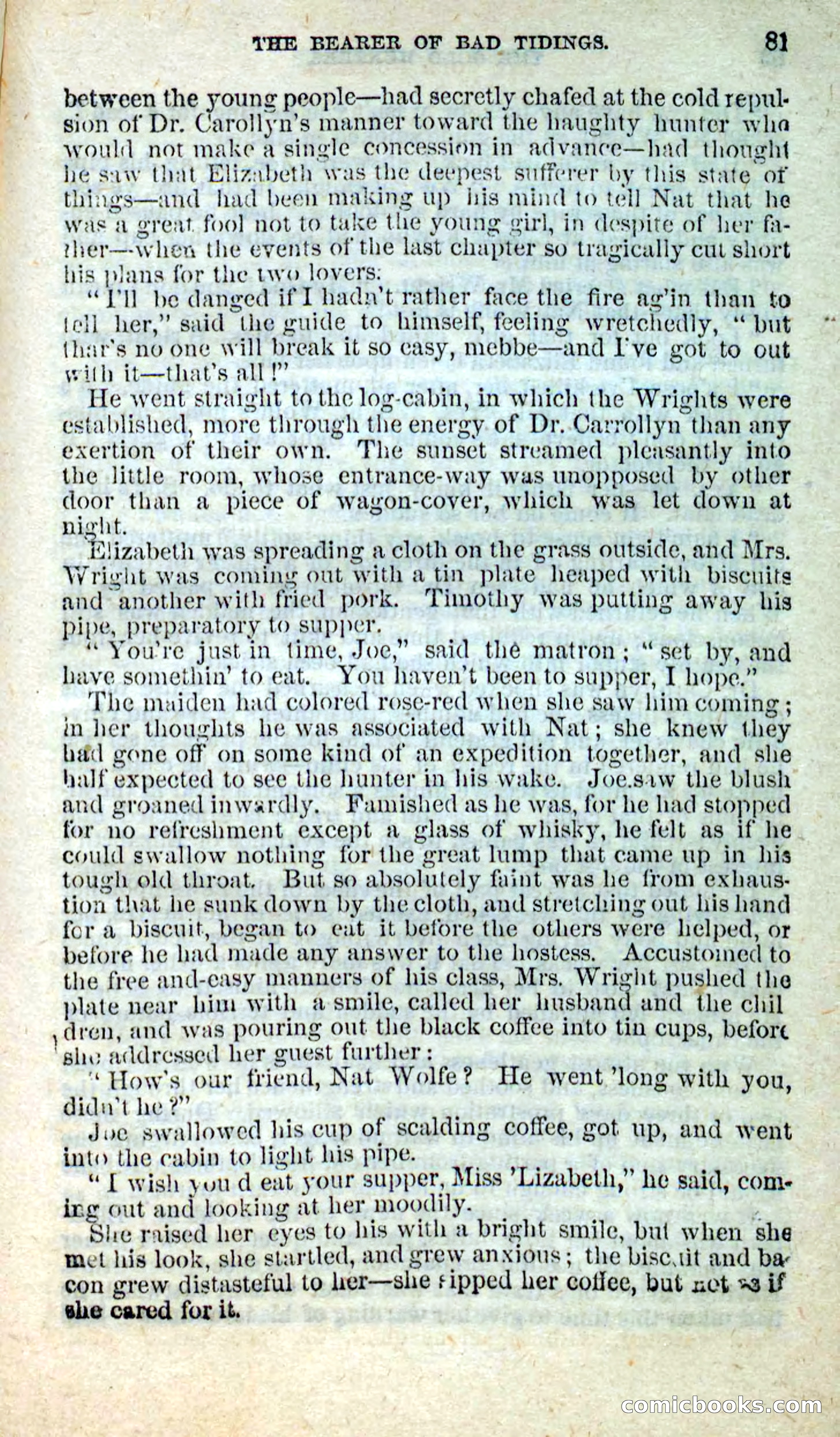 Beadle's New Dime Novels: Nat Wolfe — page 77 of 100