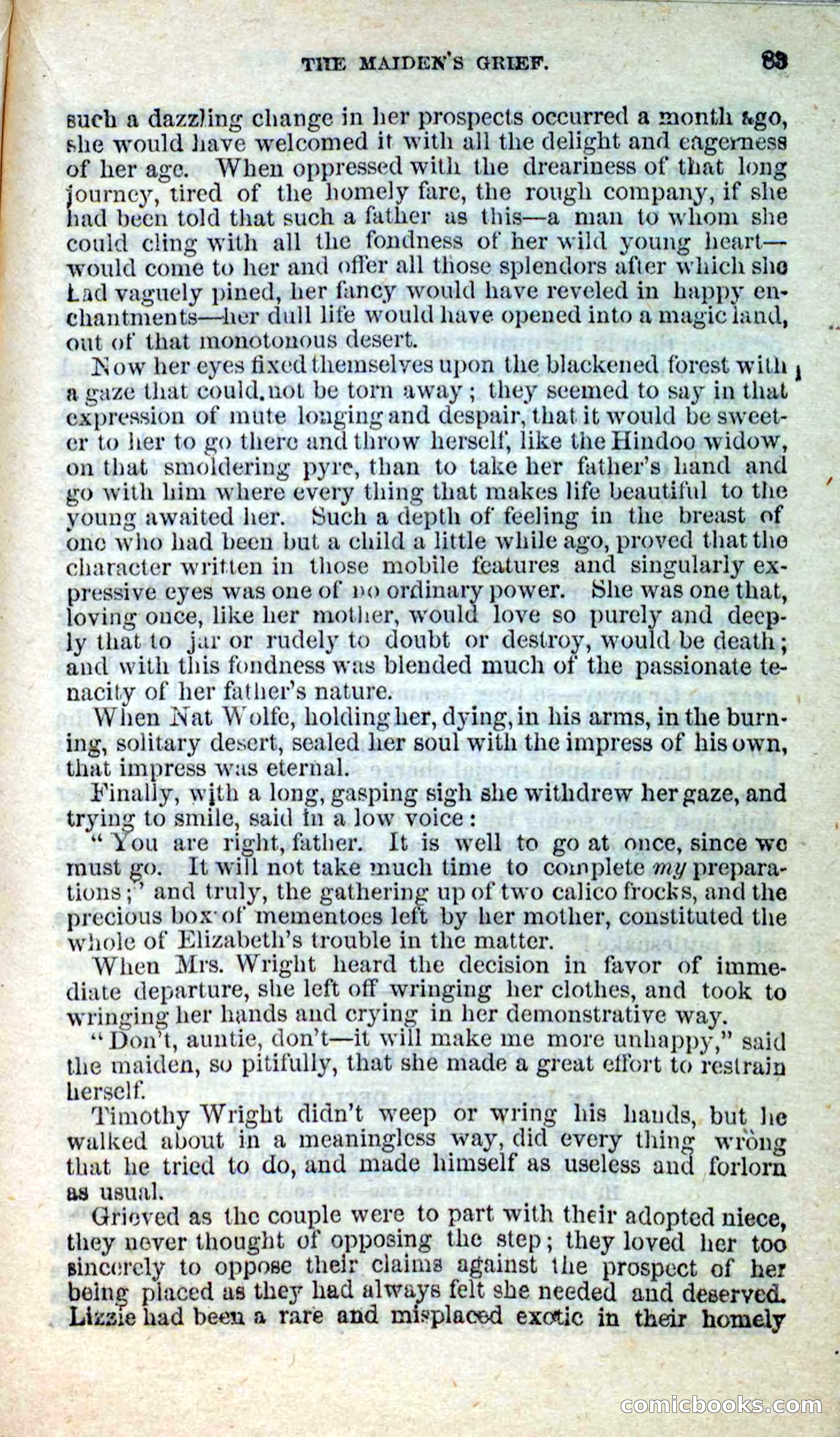 Beadle's New Dime Novels: Nat Wolfe — page 79 of 100