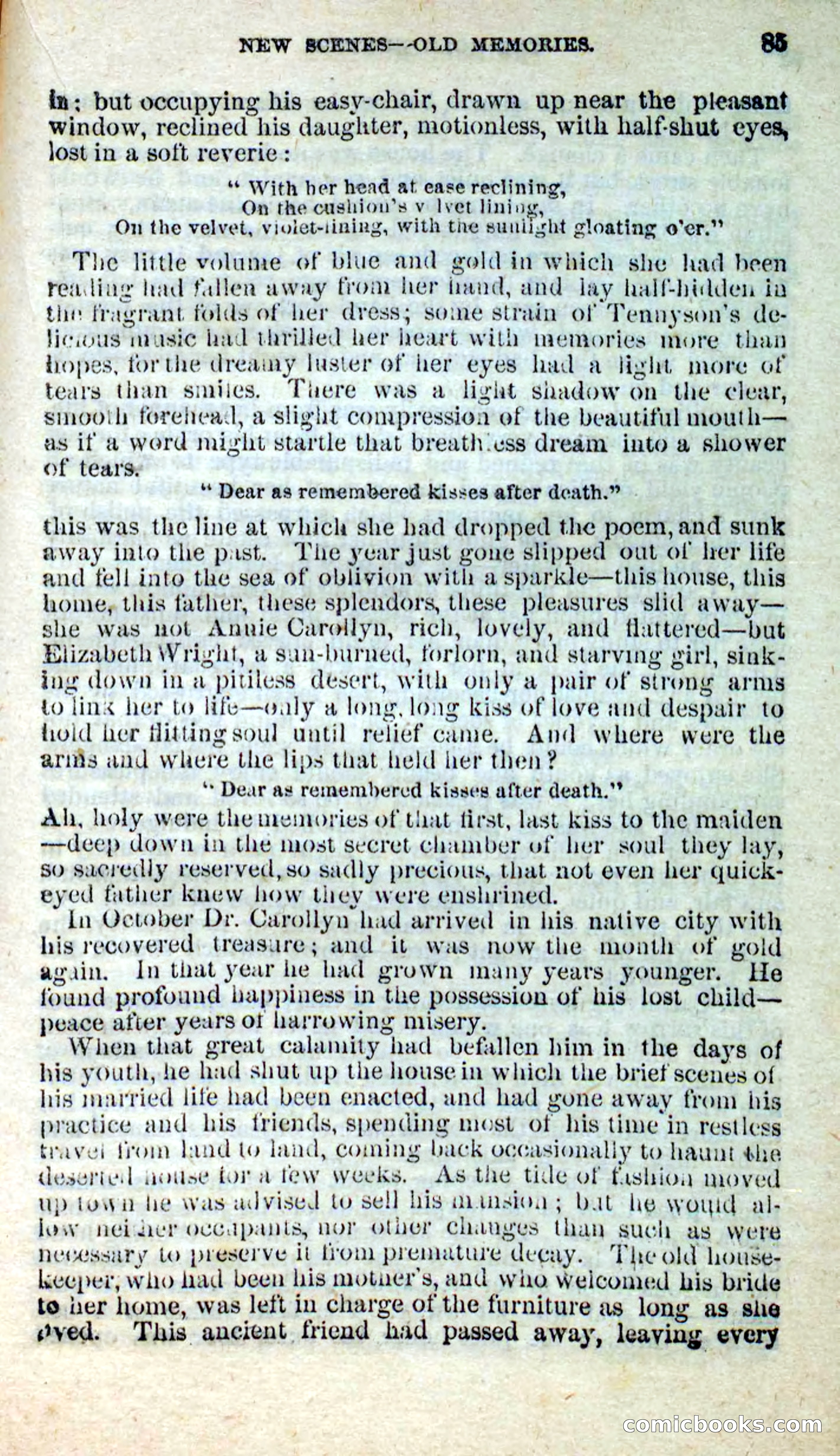 Beadle's New Dime Novels: Nat Wolfe — page 81 of 100