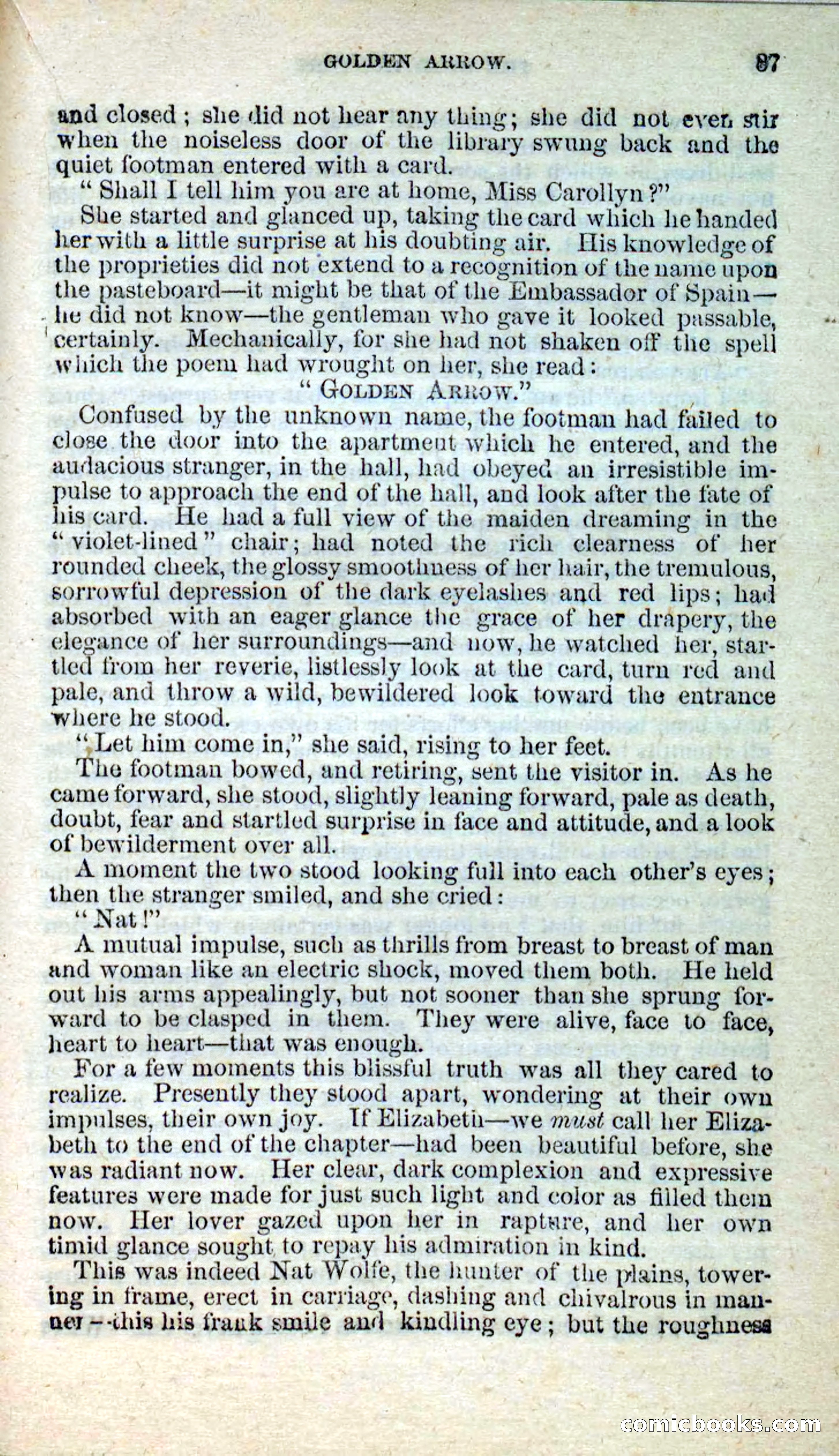 Beadle's New Dime Novels: Nat Wolfe — page 83 of 100