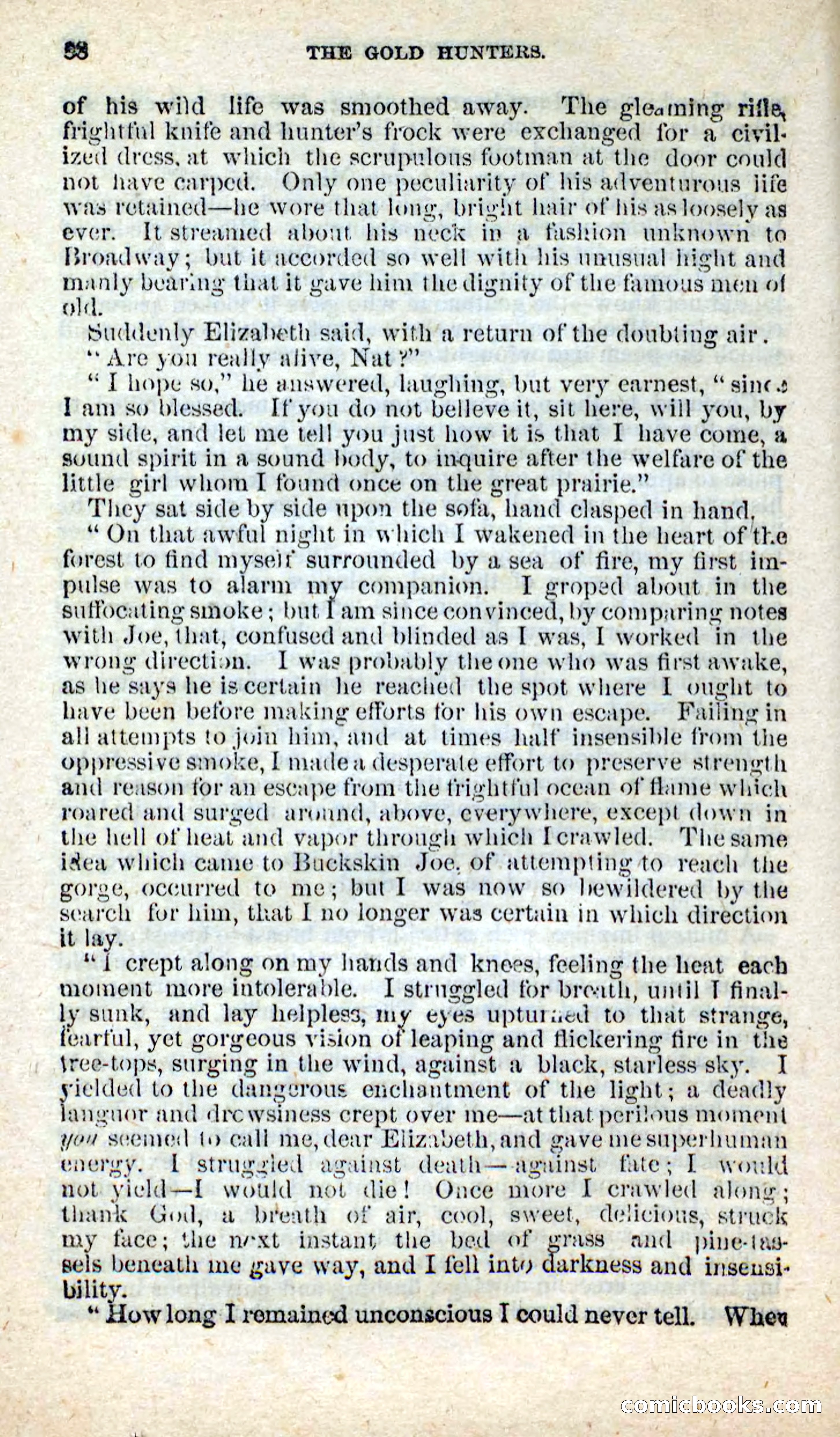 Beadle's New Dime Novels: Nat Wolfe — page 84 of 100