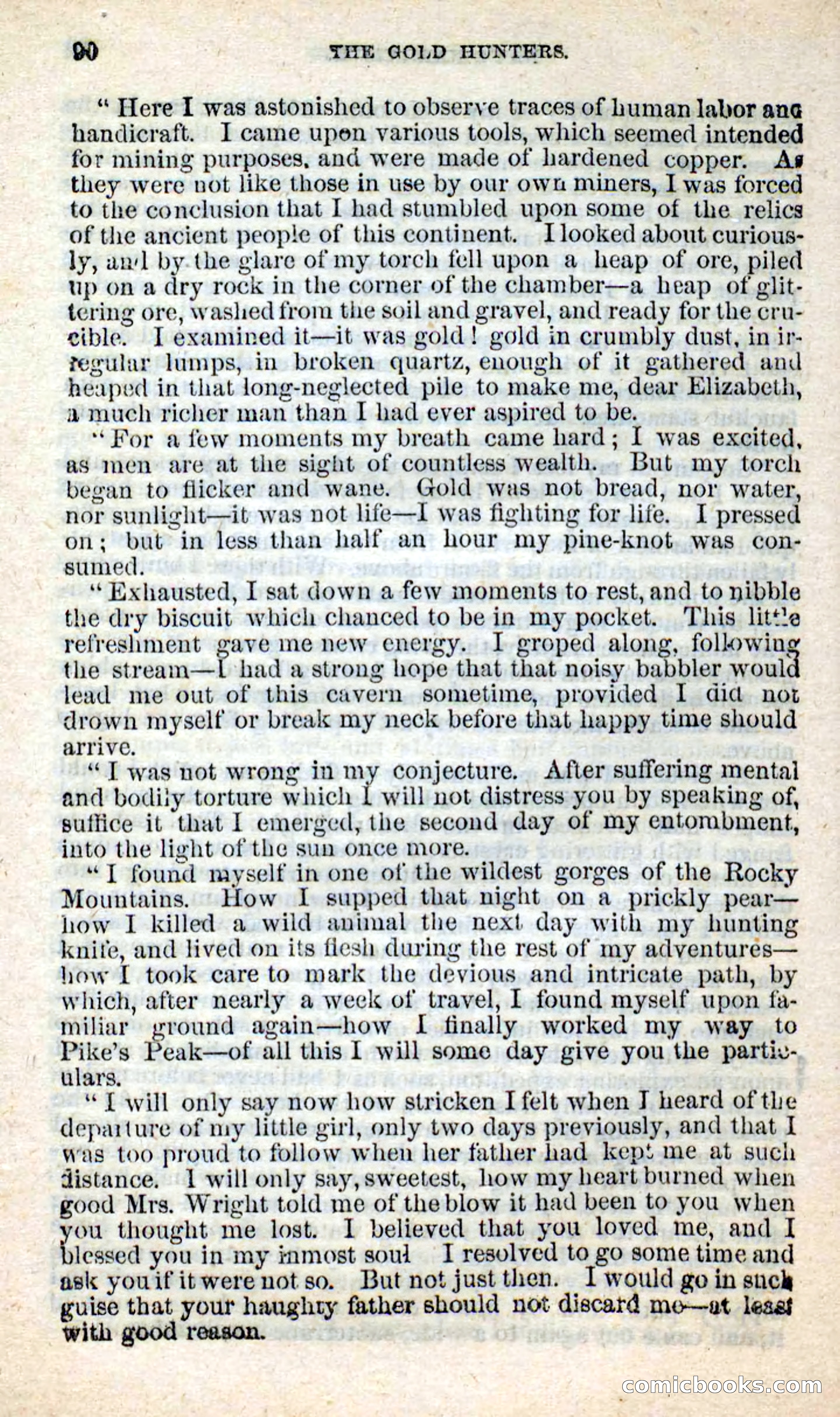 Beadle's New Dime Novels: Nat Wolfe — page 86 of 100