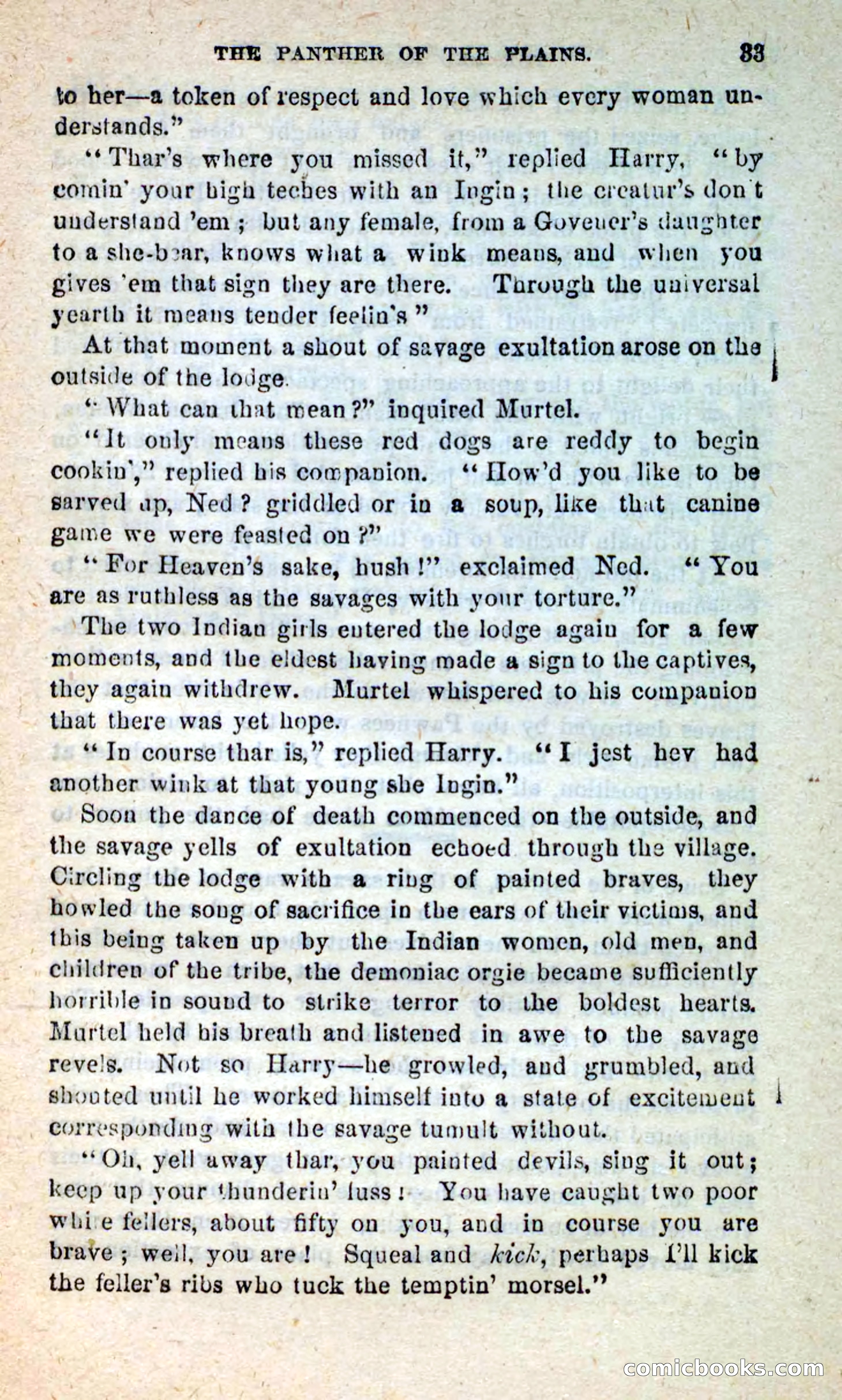 The White Tracker — page 29 of 112