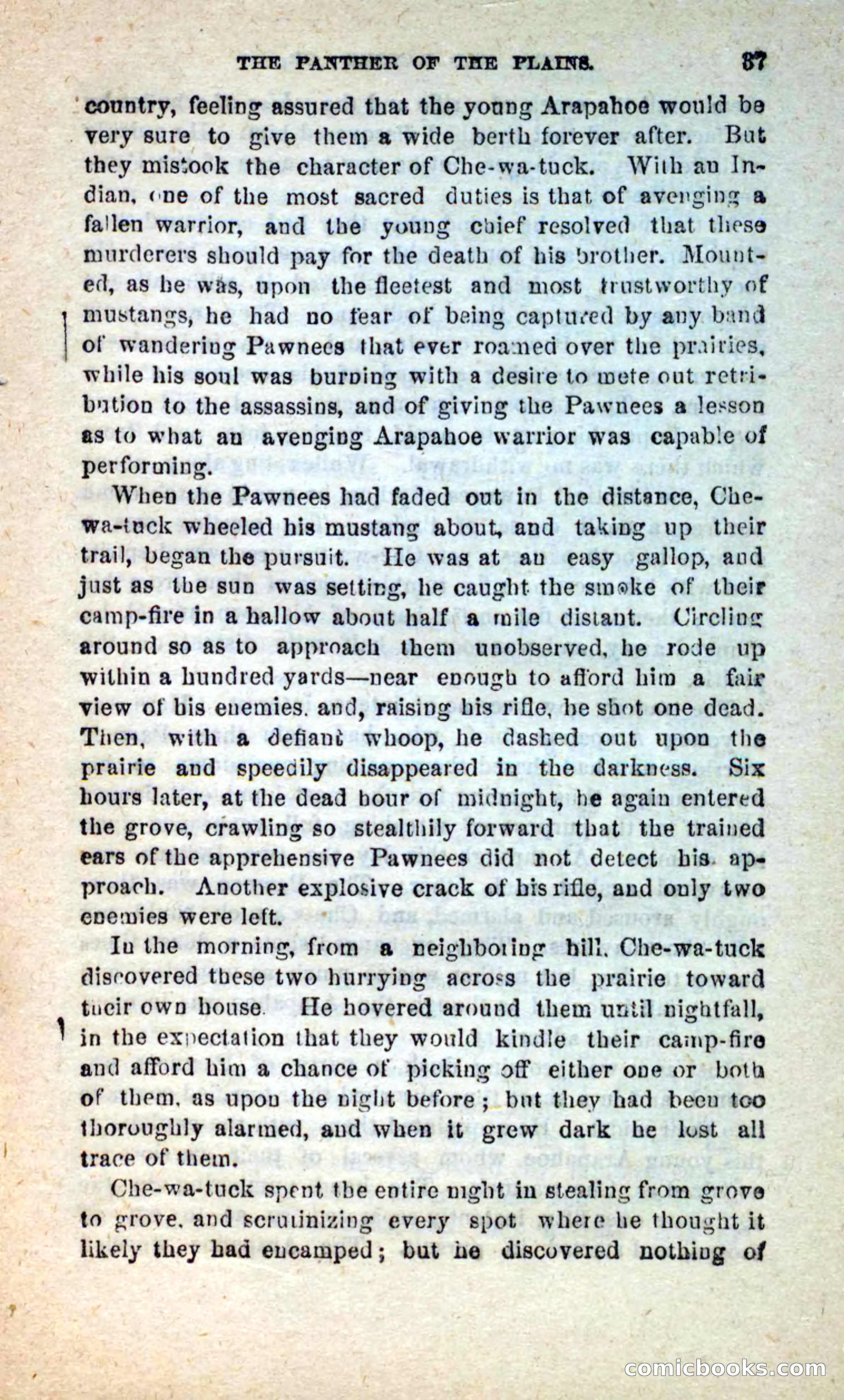 The White Tracker — page 33 of 112