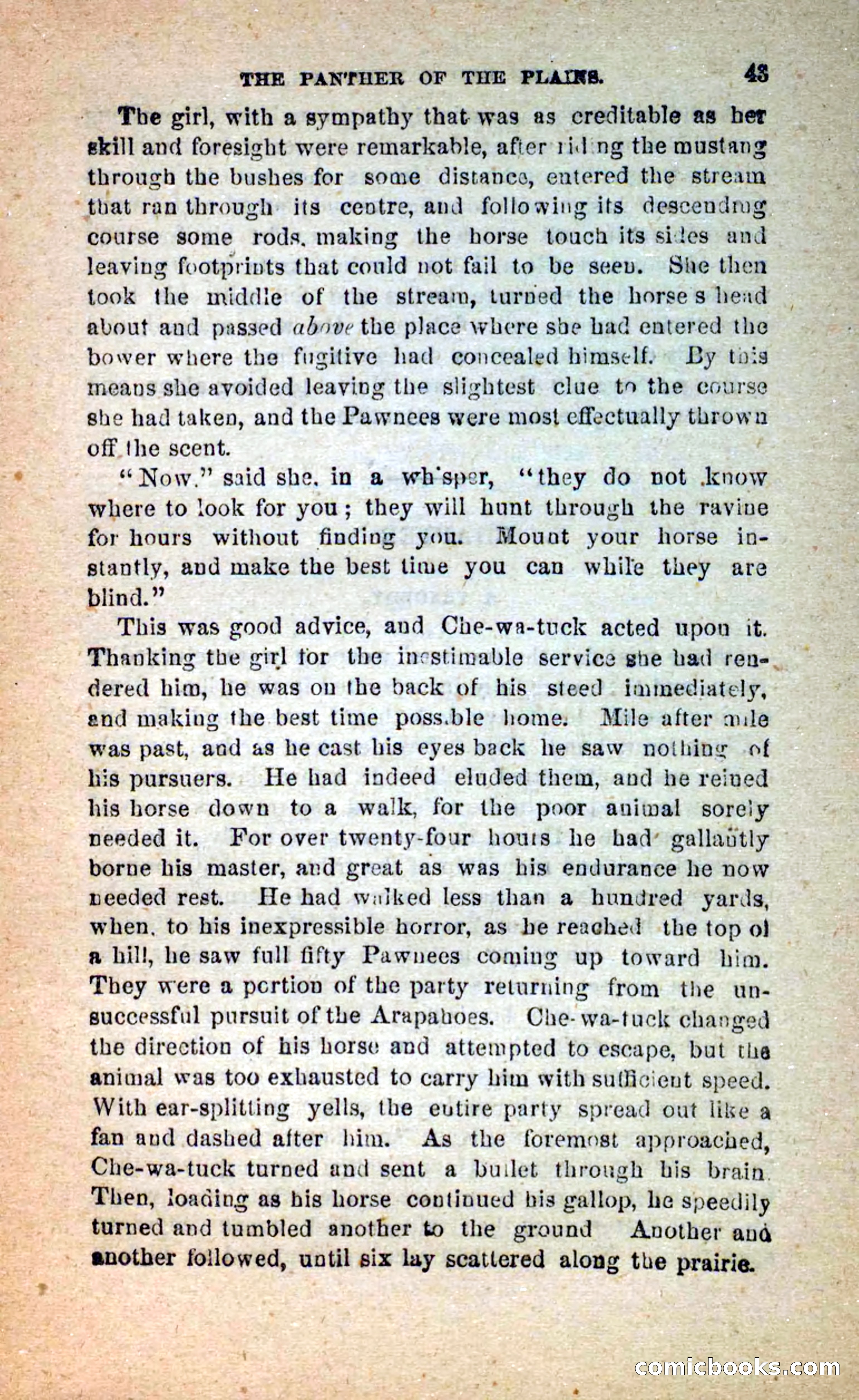 The White Tracker — page 39 of 112