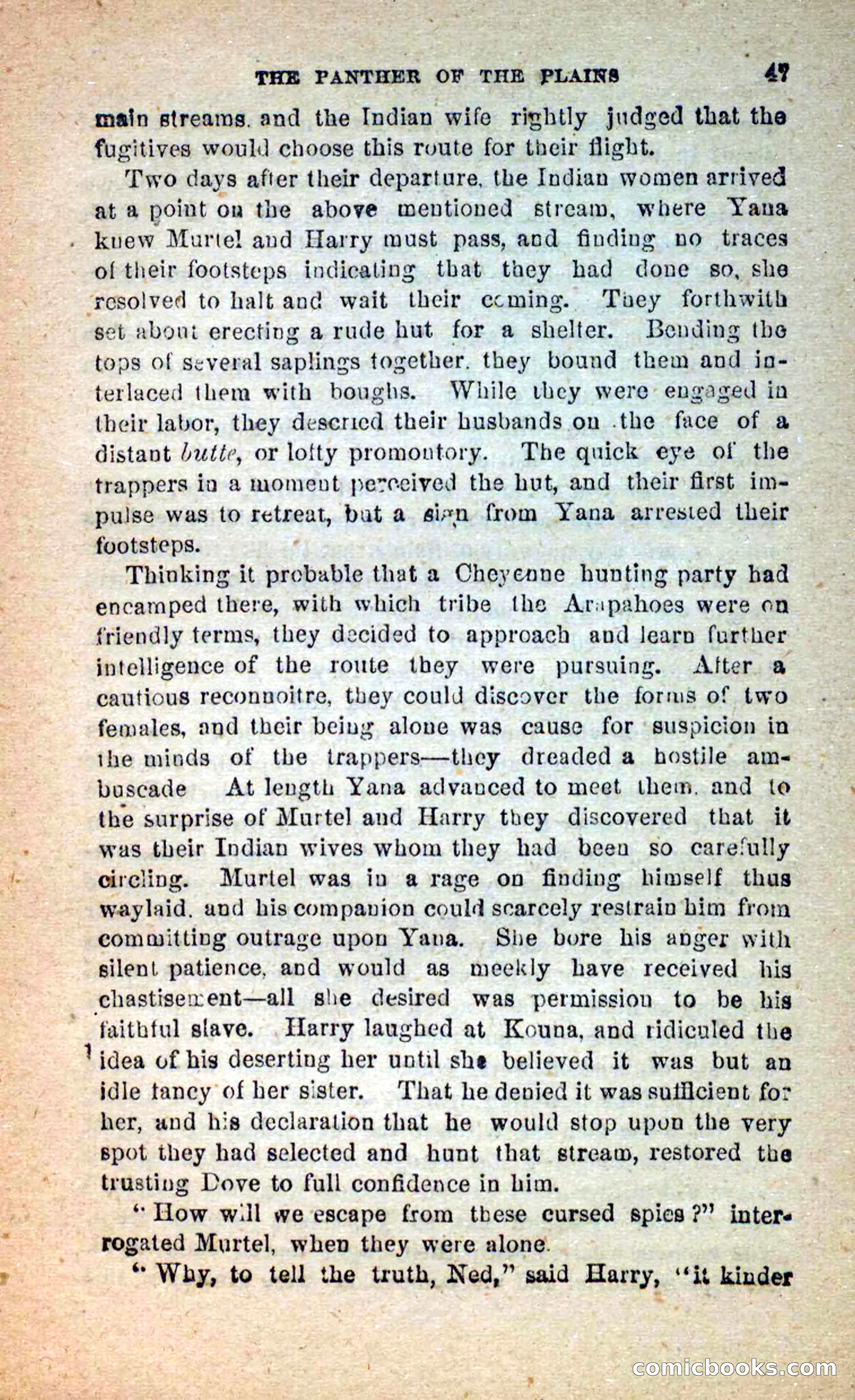 The White Tracker — page 43 of 112
