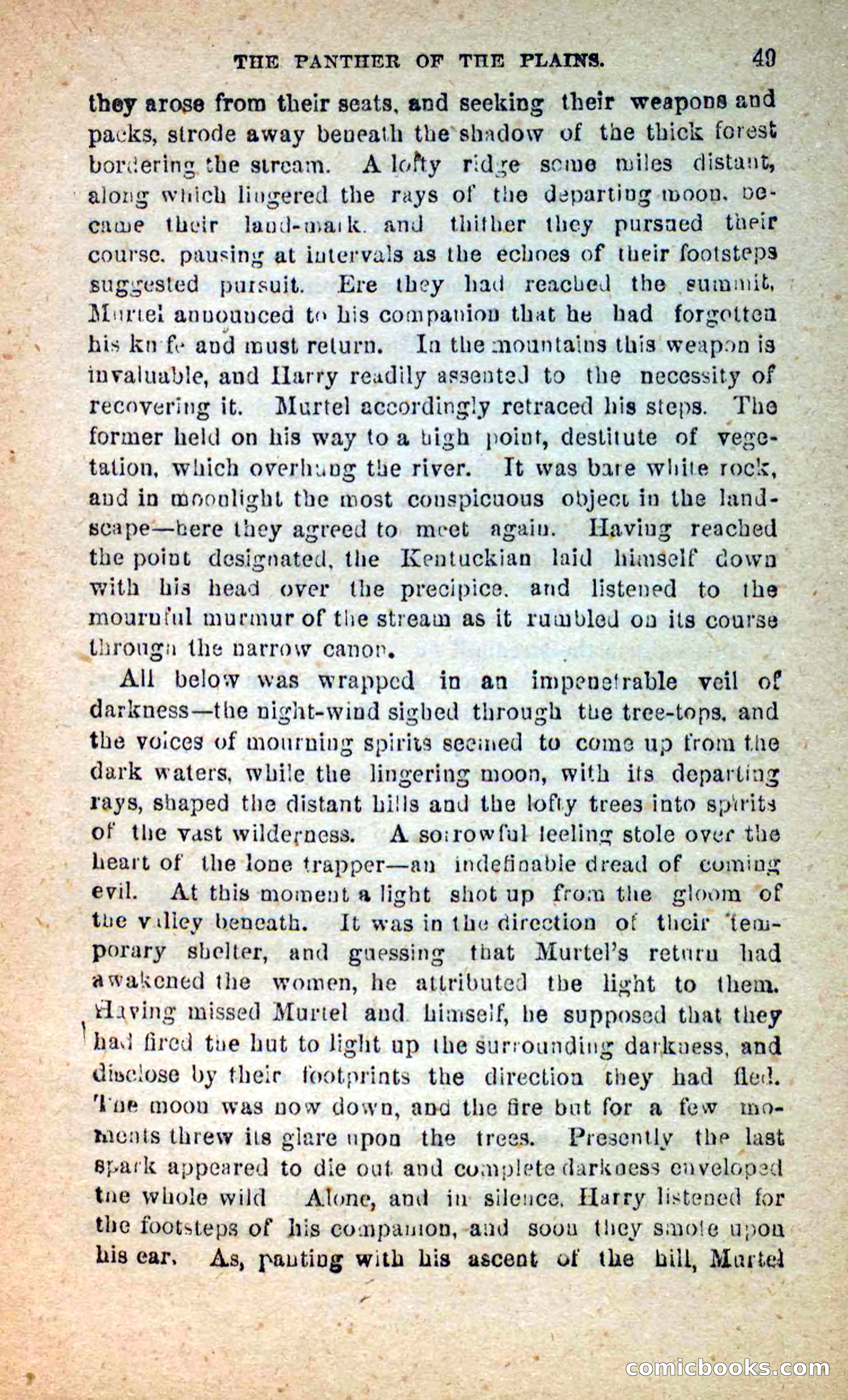 The White Tracker — page 45 of 112