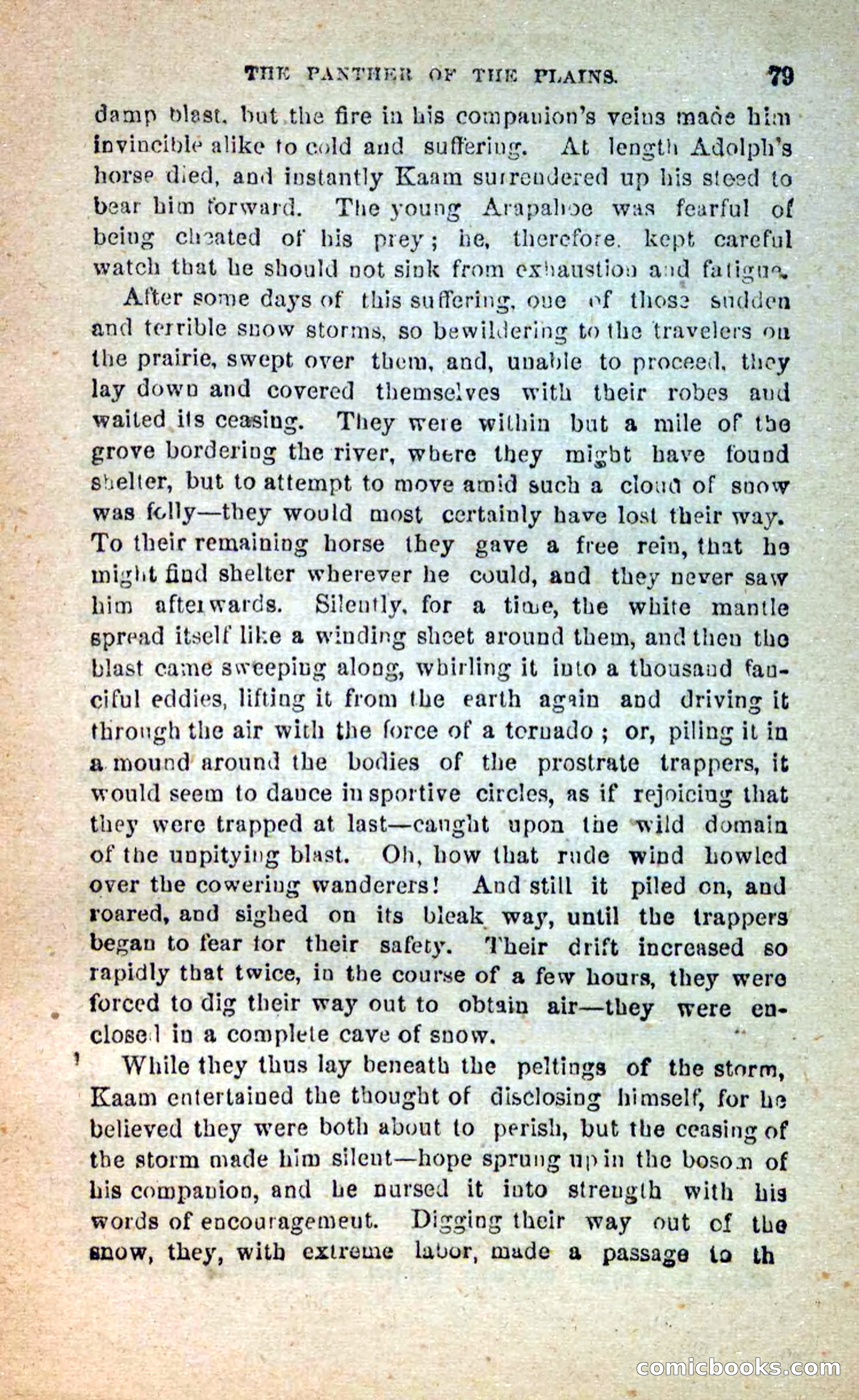 The White Tracker — page 75 of 112