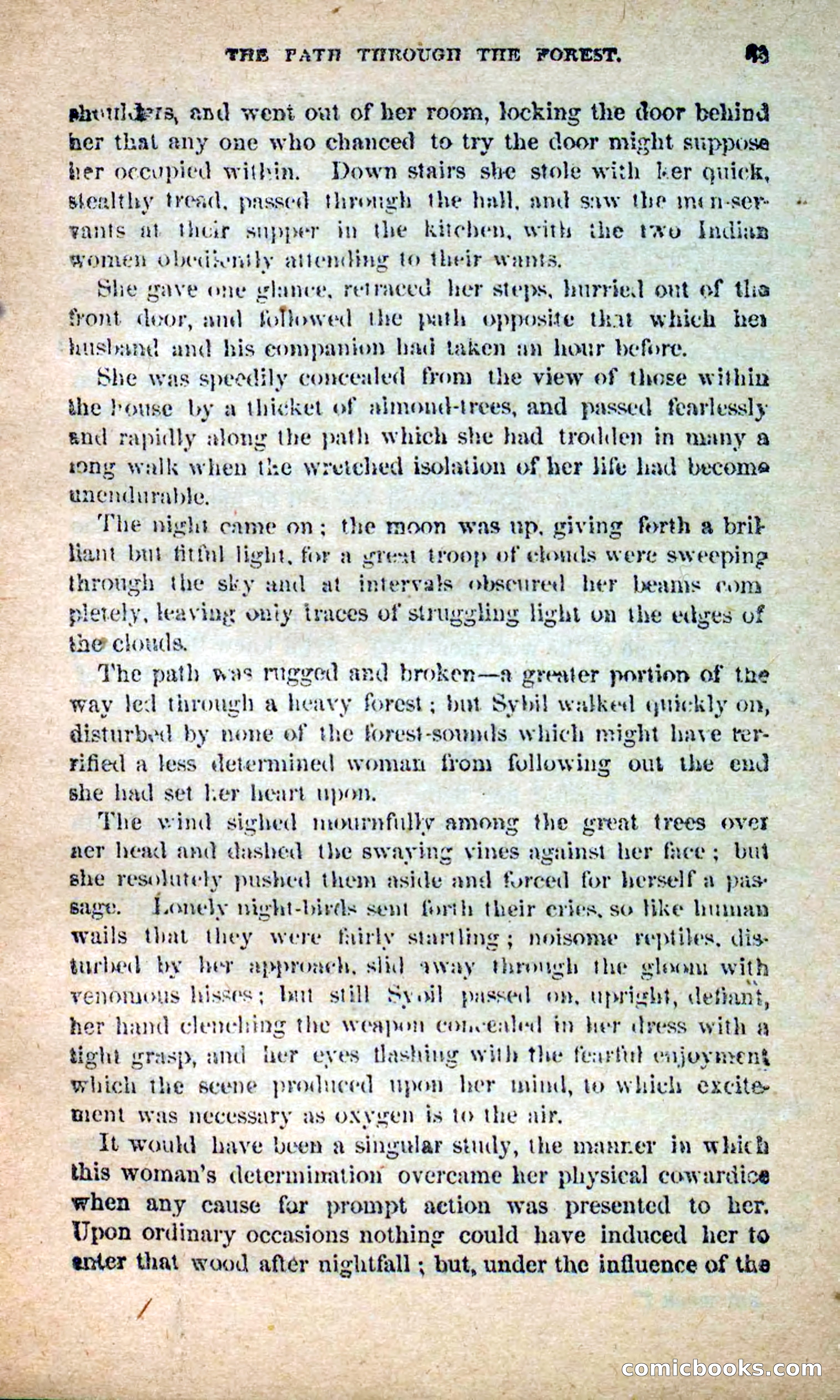 The Outlaw's Wife — page 33 of 132